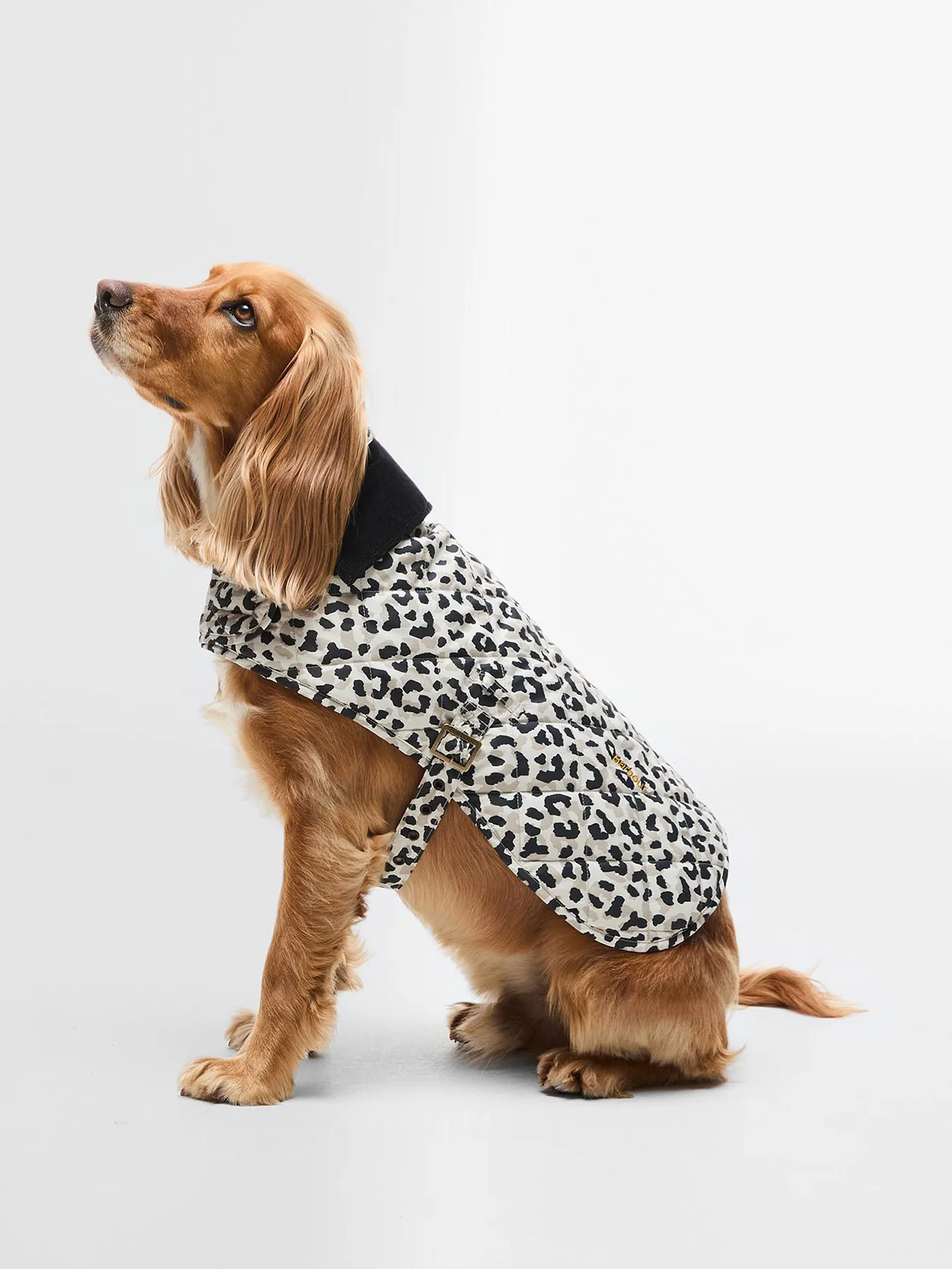 Barbour Harley Quilted Dog Coat Jasmine Leopard Medium - Image 2