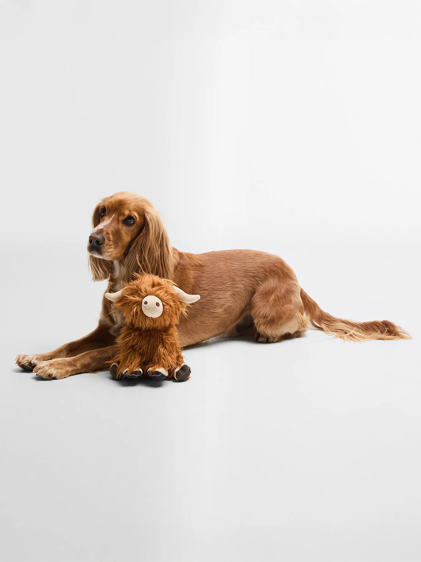 Barbour Highland Cow Dog Toy Brown Classic - Image 2