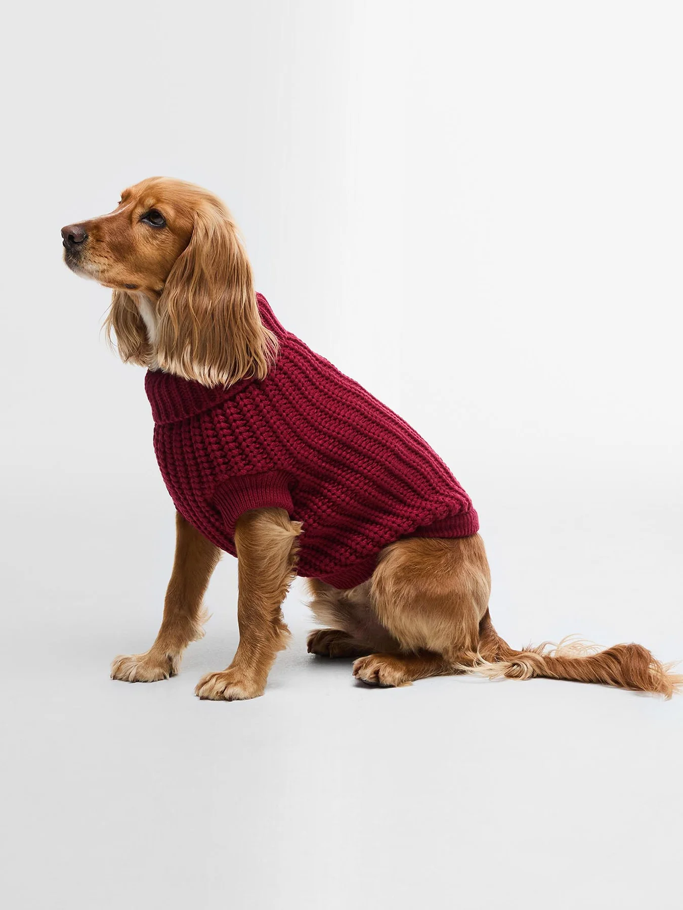 Saltburn Dog Jumper Biking Red Medium - Image 2