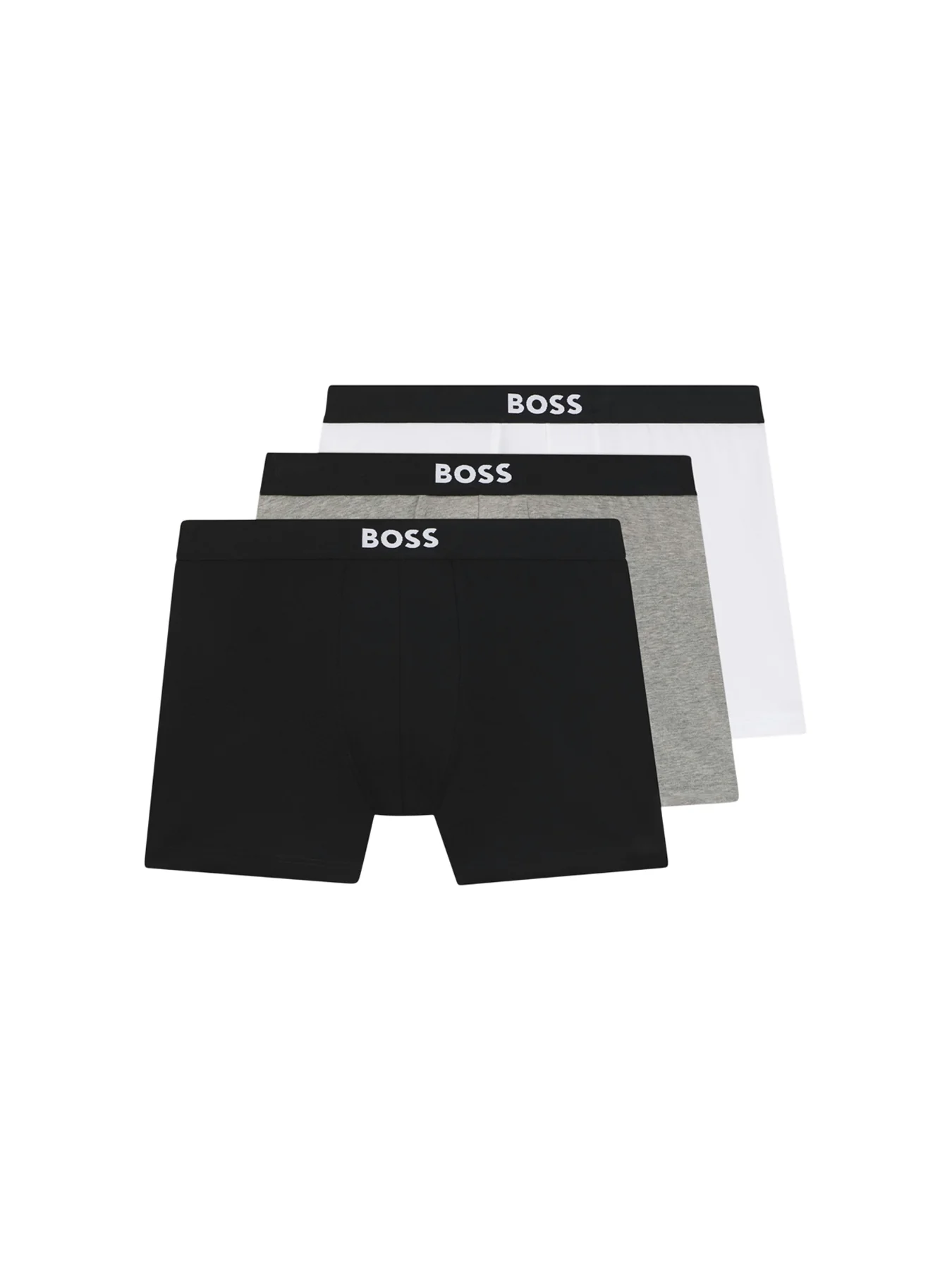 BoxerBr 3P BOSS ONE