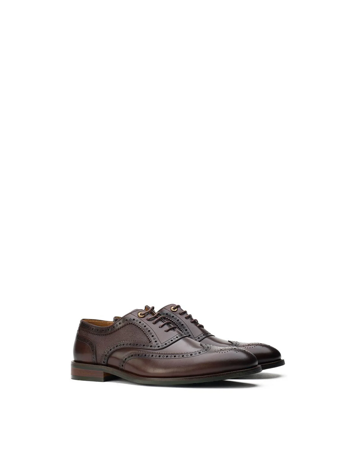 Diplodocus Leather Brogue Shoes Brown - Image 3