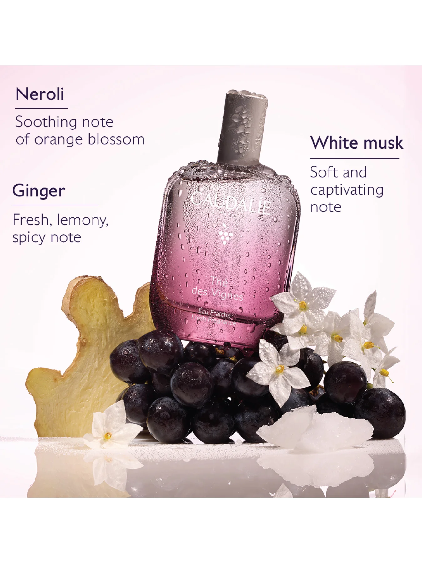 Des Vignes Fresh Fragrance 50ml - Image 3