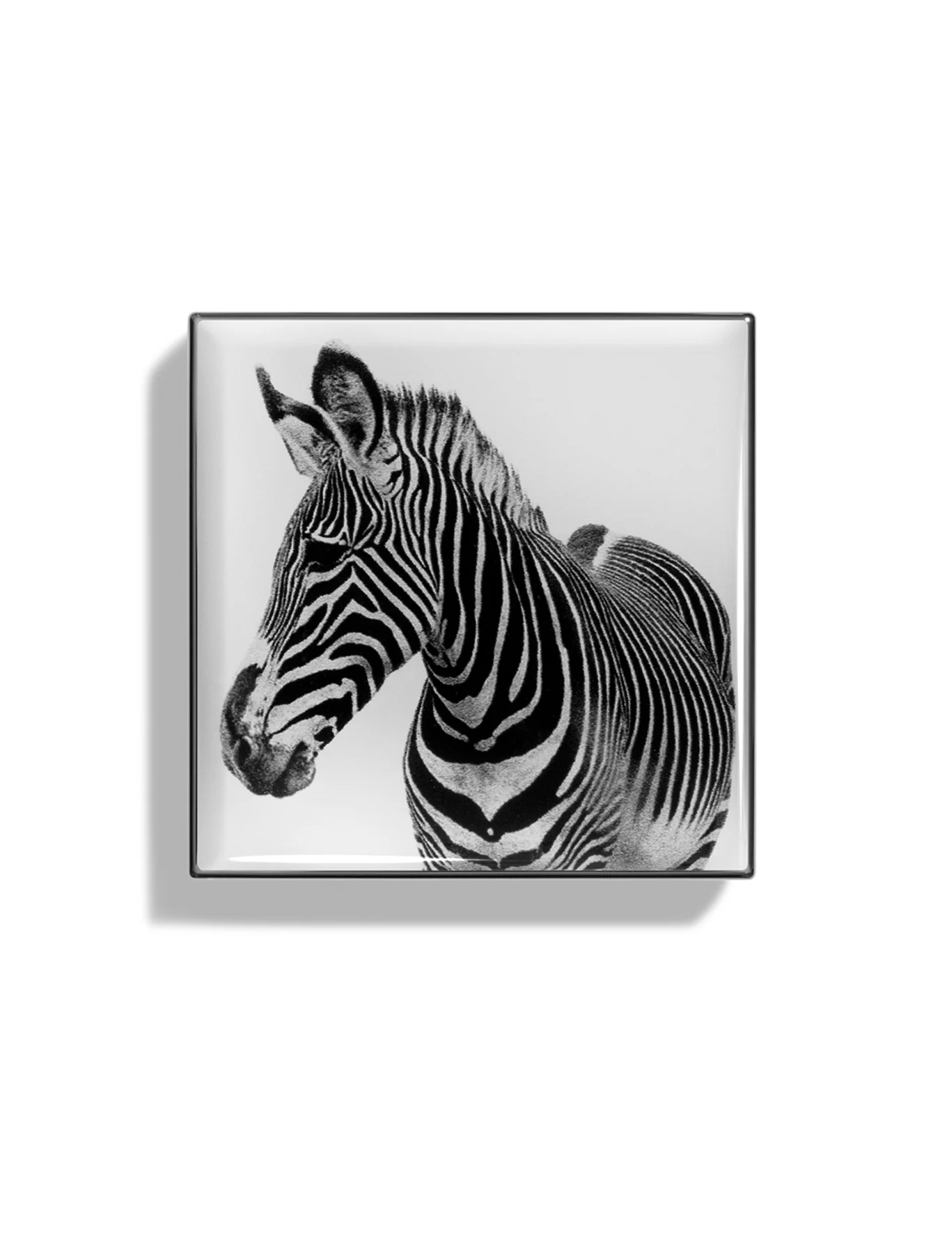 Luminescent Eye Shade Zebra - Image 3