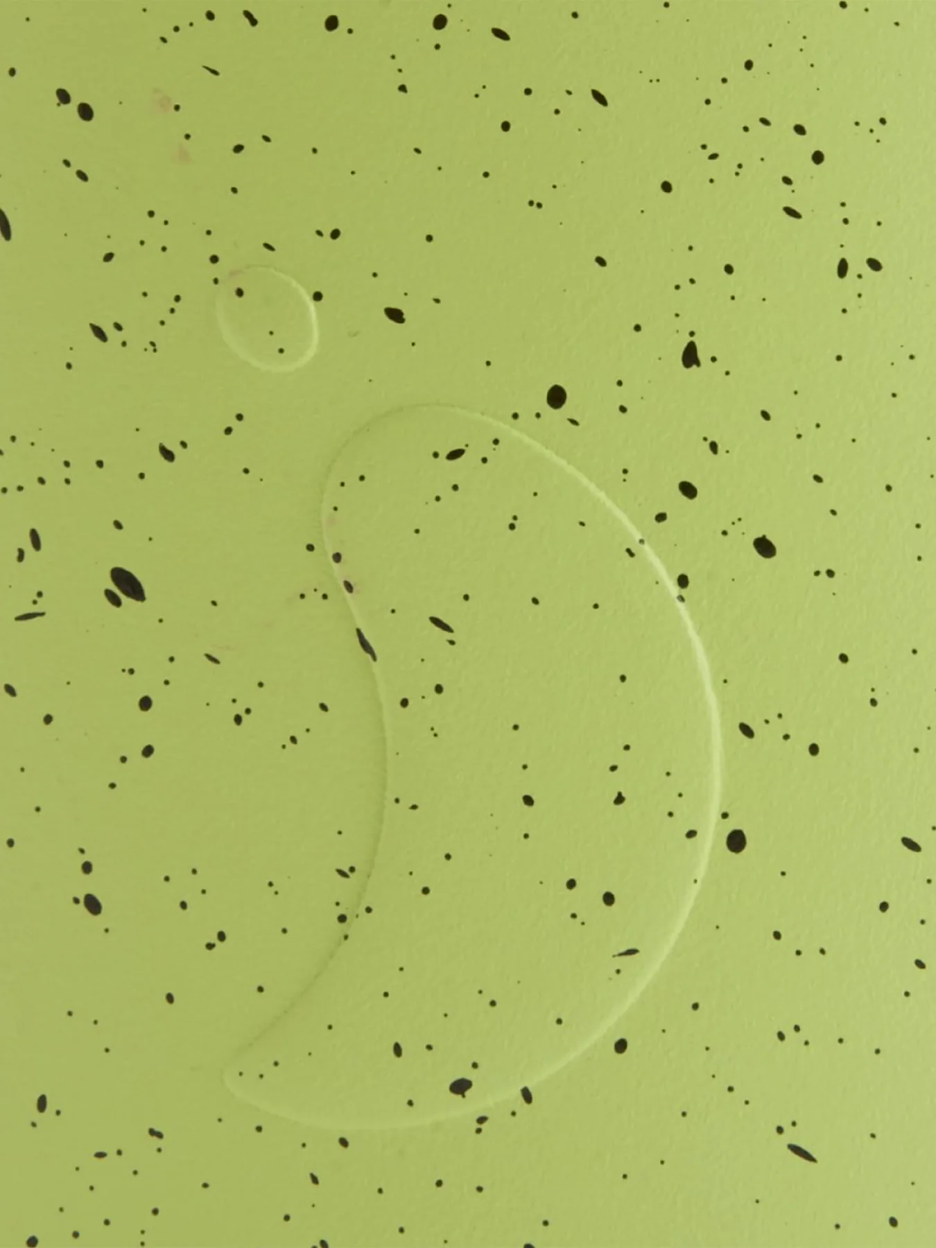 Series 2 Bottle Limelite - Image 4