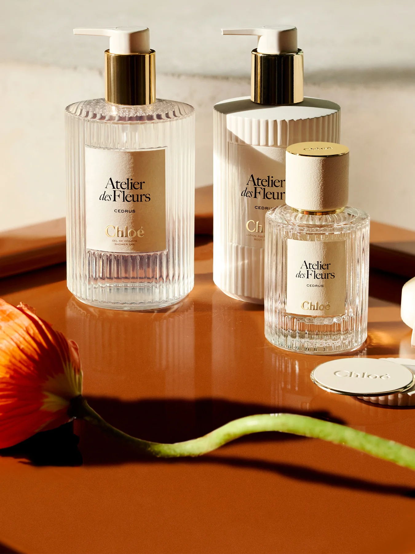 Magnolia Alba Solid Perfume Refills 2 x 3g - Image 2