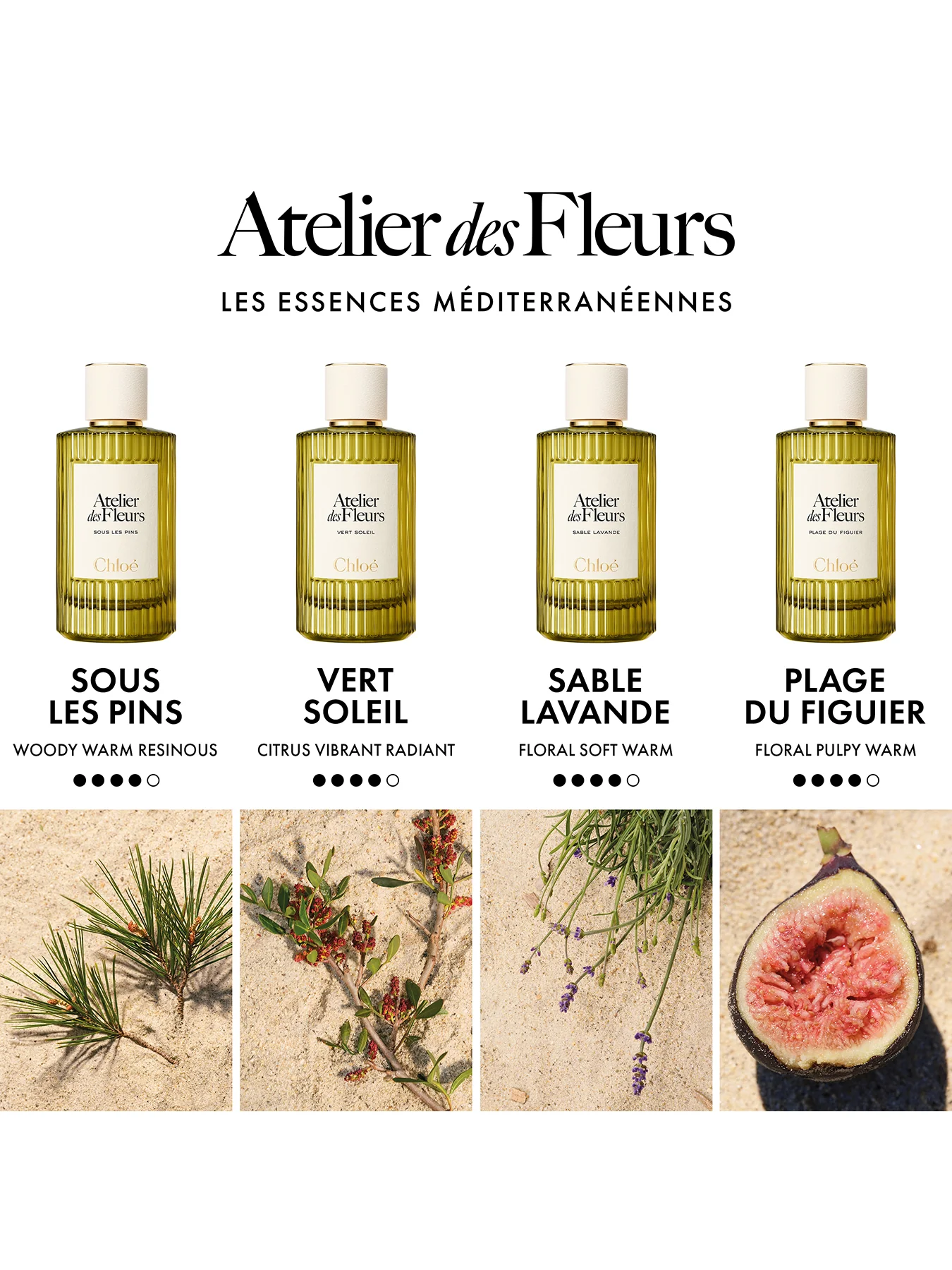 Atelier Des Fleurs Vert Soleil Eau de Parfum 150ml - Image 4
