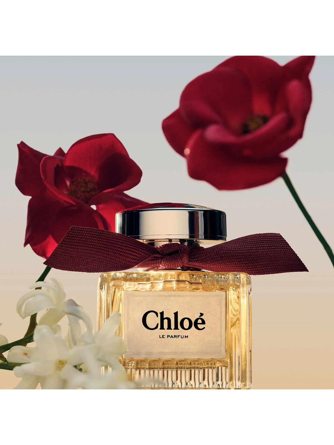 Chloe Le Parfum 30ml Eau de Parfum - Image 4