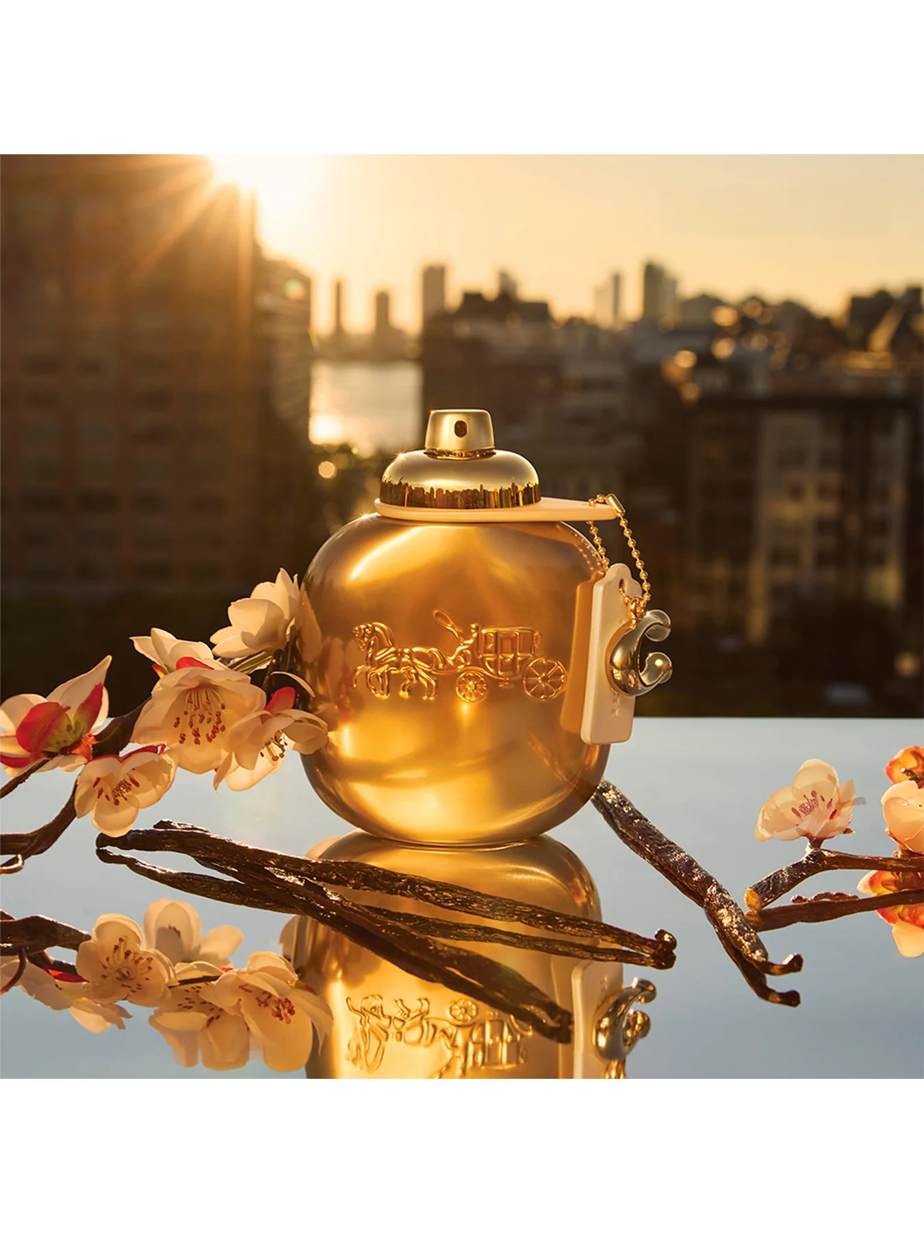 Coach Gold Parfum 90ml - Image 2