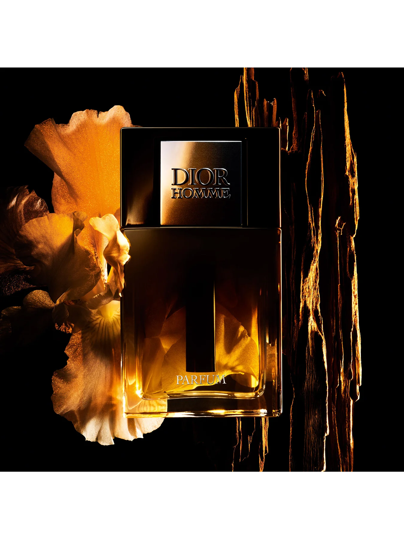 Dior Homme Parfum 125ml - Image 2