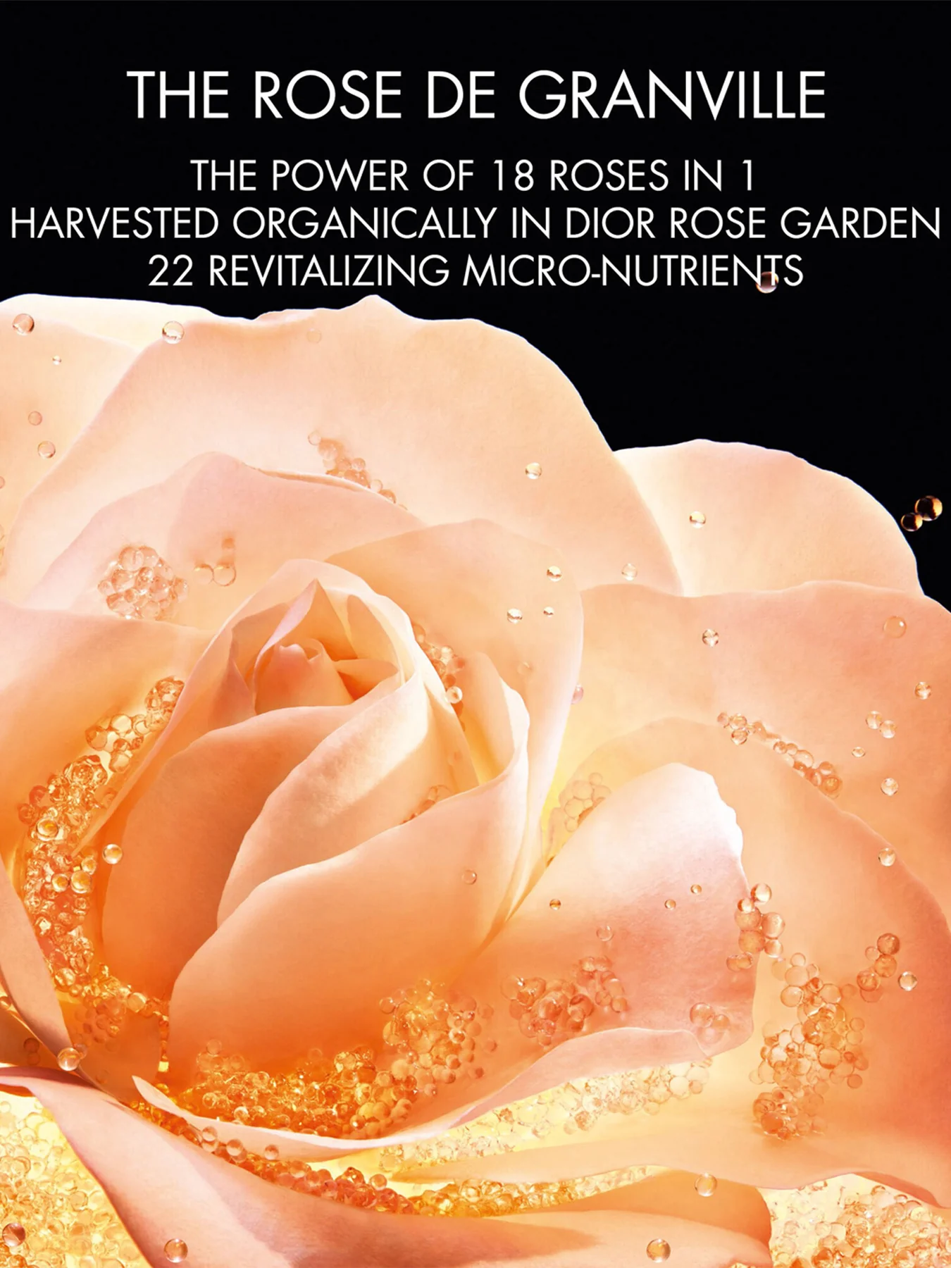 Dior Prestige Le Micro Fluide Teint de Rose Micro Nutritive Foundation - Image 23