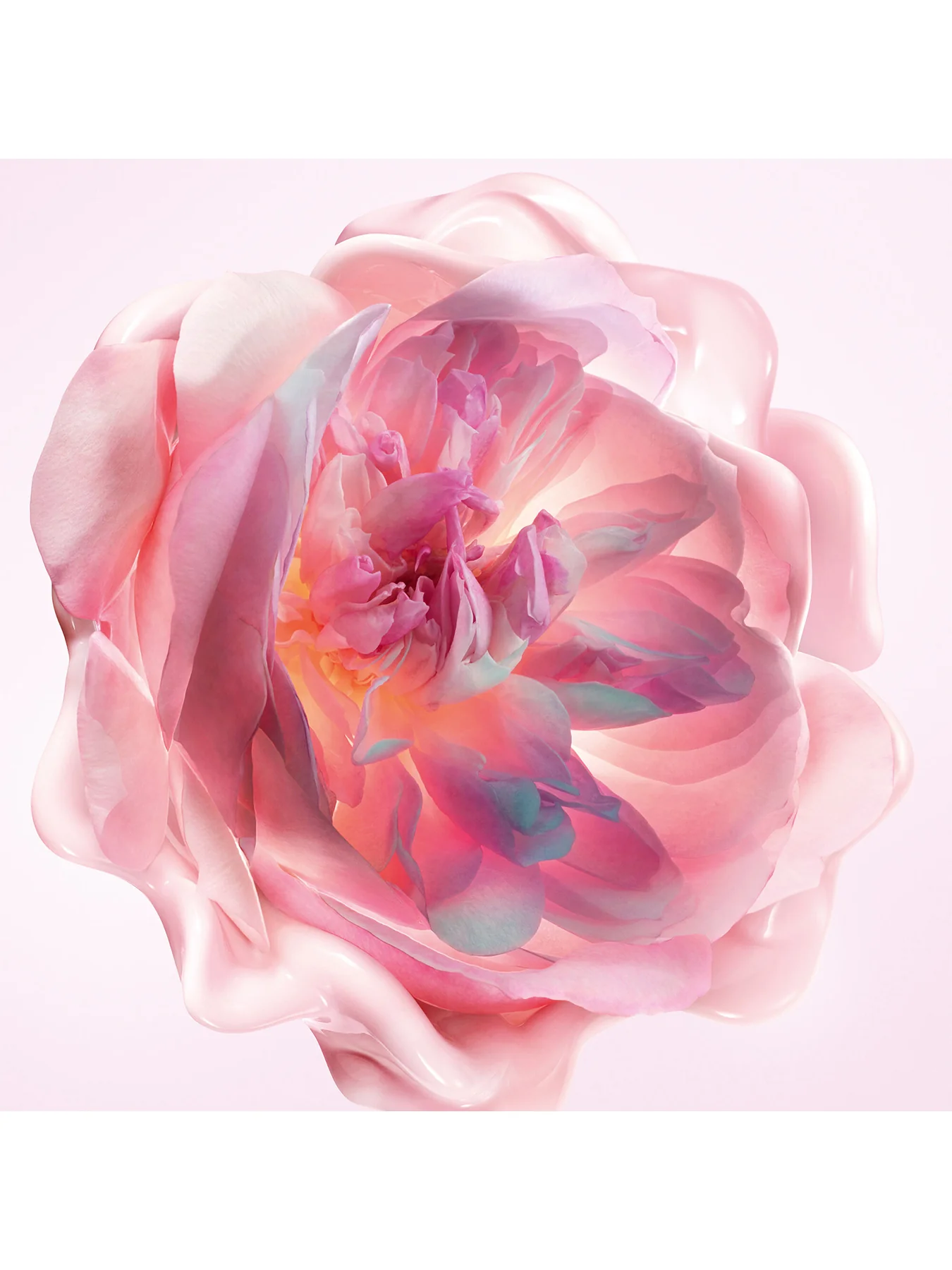 Miss Dior Comforting Body Cream 150ml - Image 3
