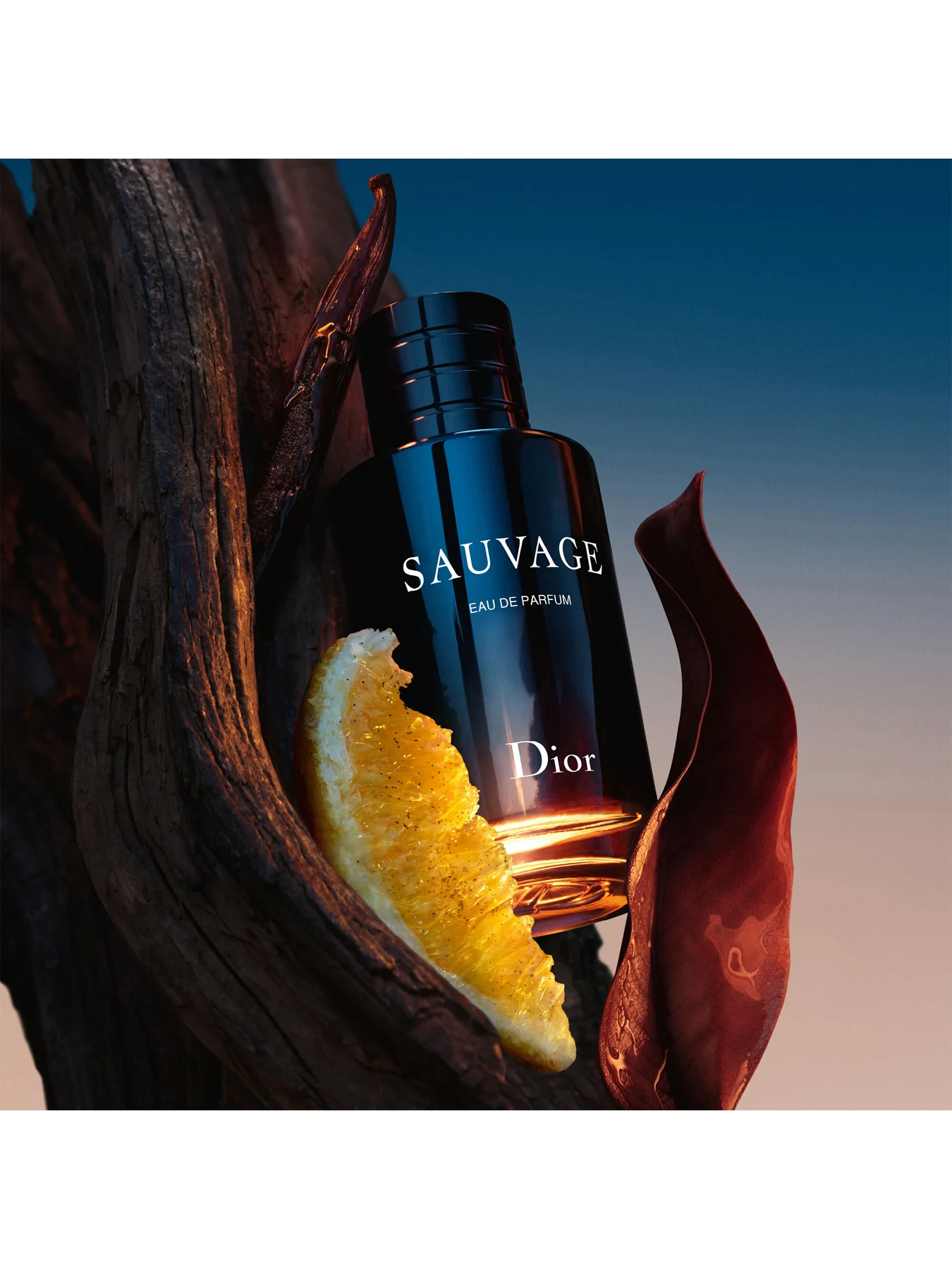 Sauvage Spray for the Wild Eau de Parfum 30ml Limited Edition - Image 3