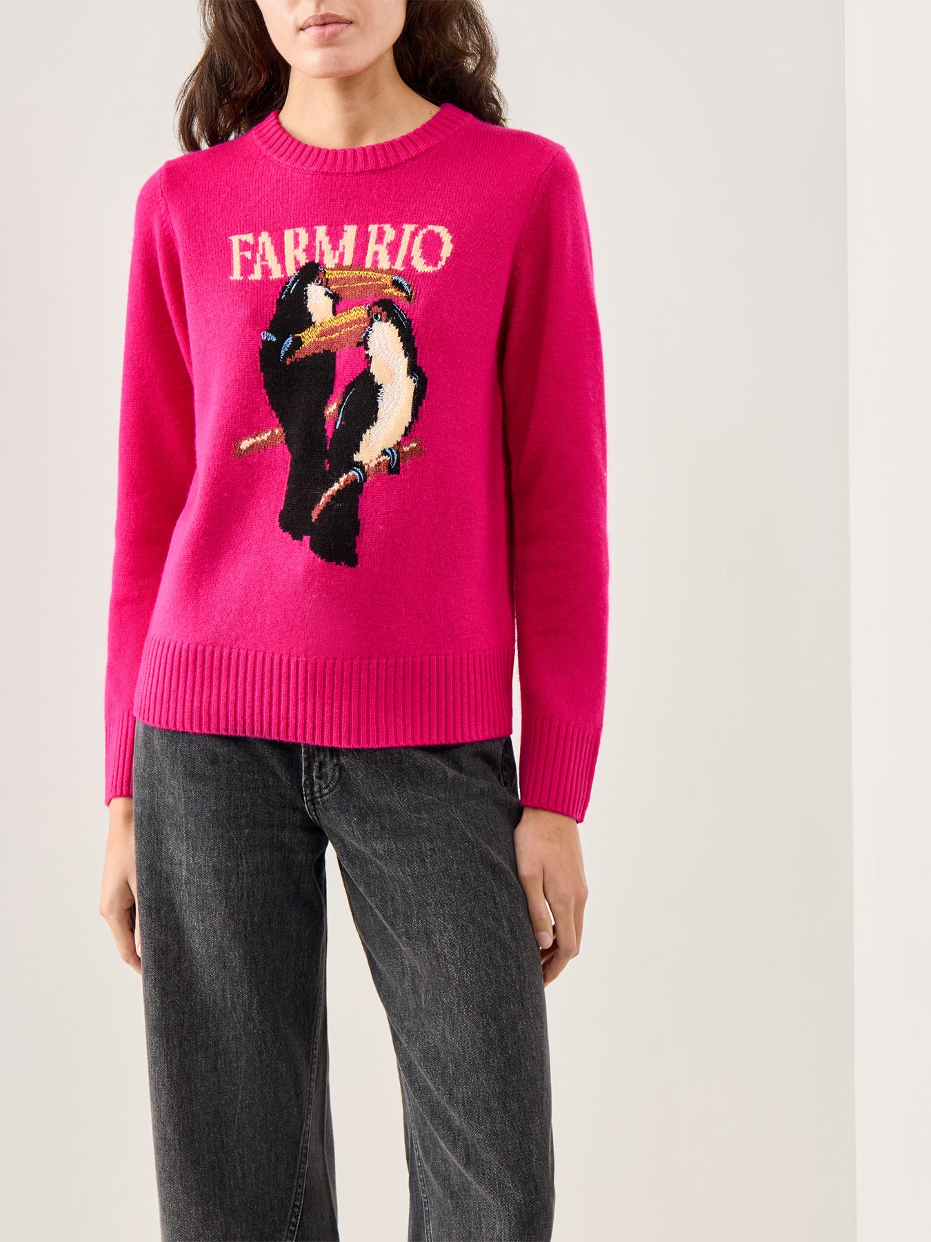 Tucan Intarsia Knit Sweater Multi - Image 4