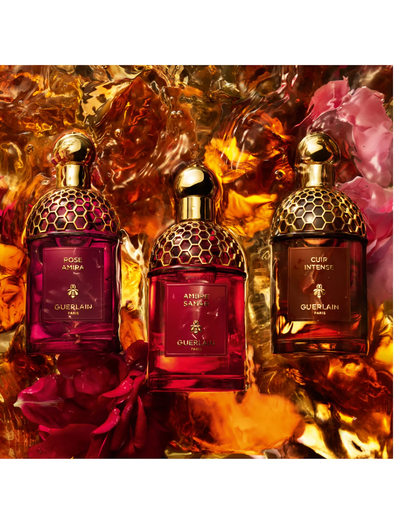 Absolus Allegoria Ambre Samar Eau de Parfum - Image 6