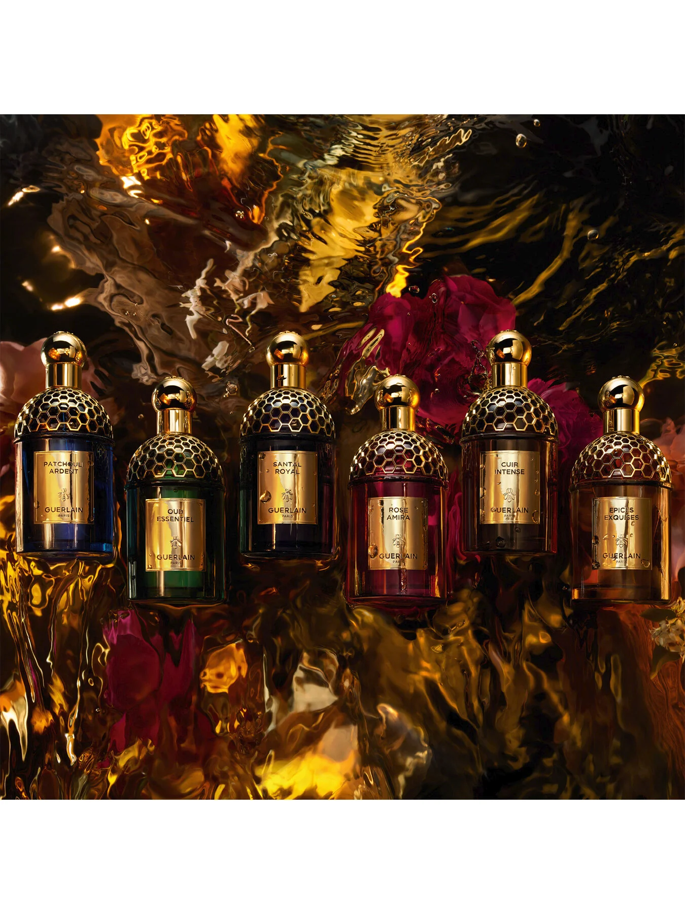 Absolus Allegoria Oud Essentiel Eau de Parfum - Image 11
