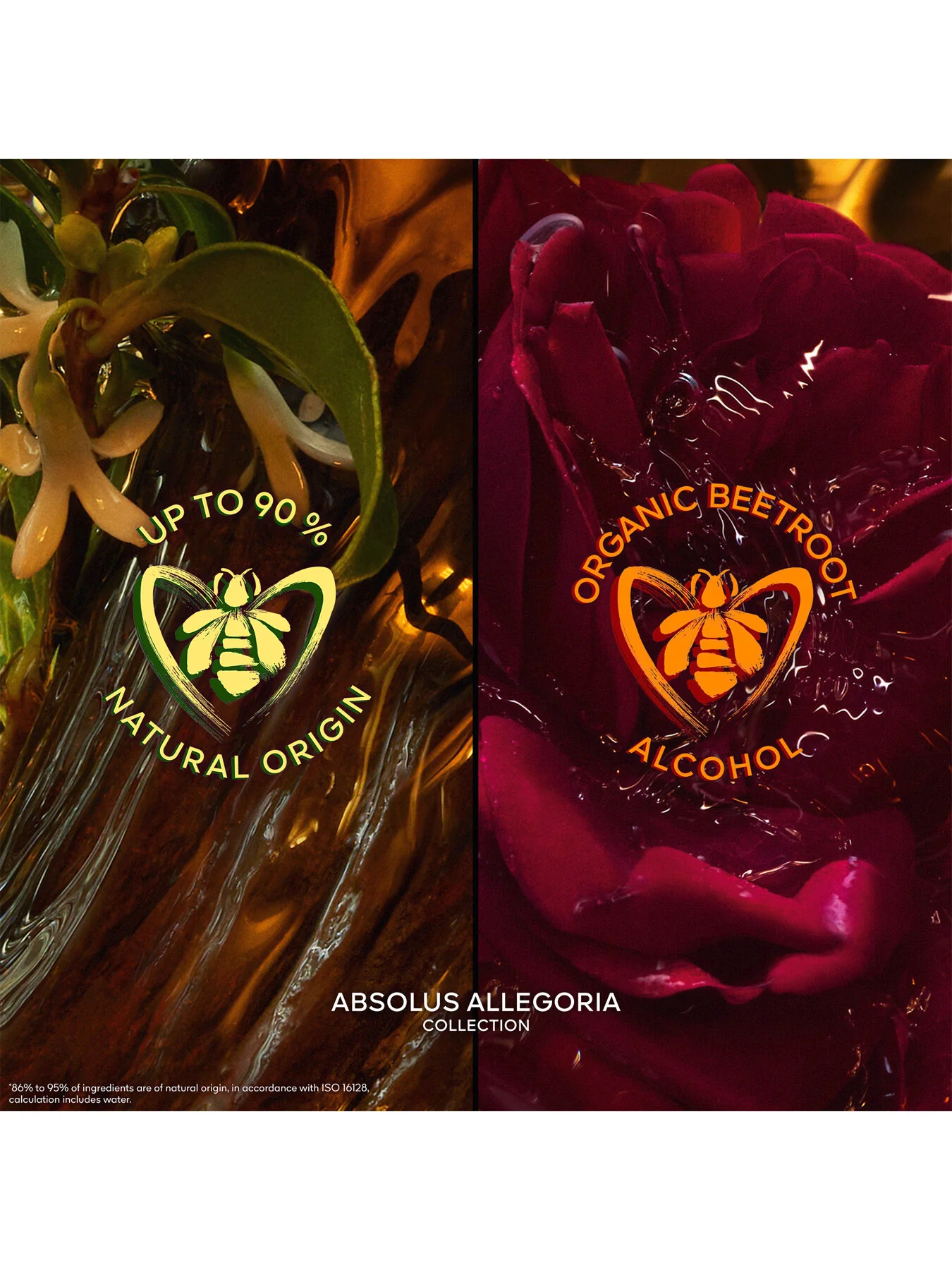 Absolus Allegoria Patchouli Ardent Eau de Parfum - Image 9