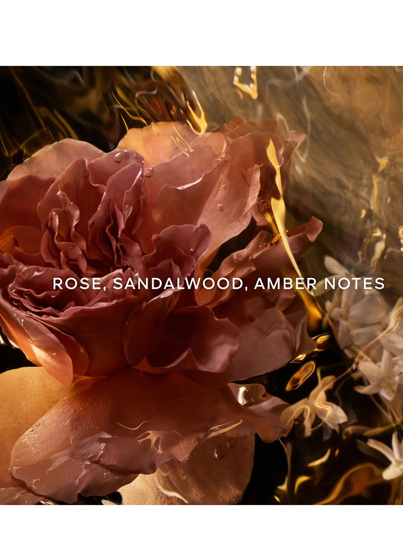 Absolus Allegoria Santal Royal Eau de Parfum - Image 2