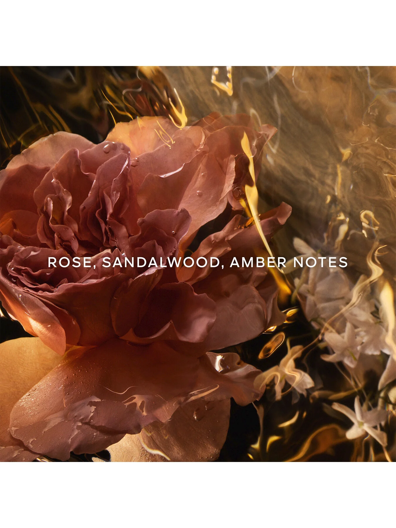Absolus Allegoria Santal Royal Eau de Parfum - Image 9