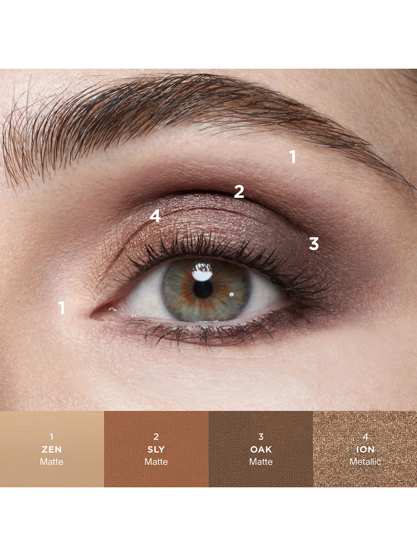 Curator Eyeshadow - Image 111