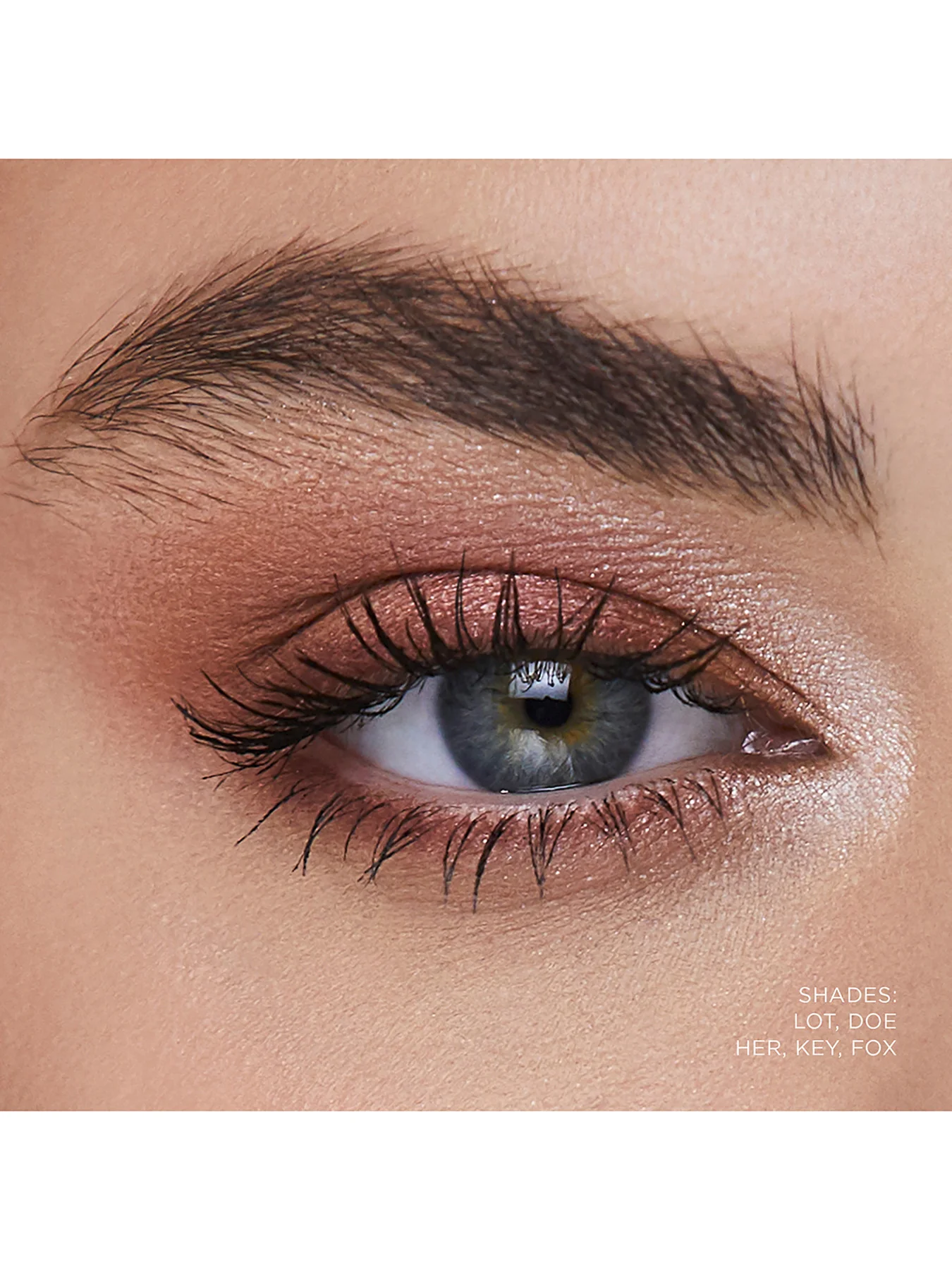 Curator Eyeshadow - Image 23