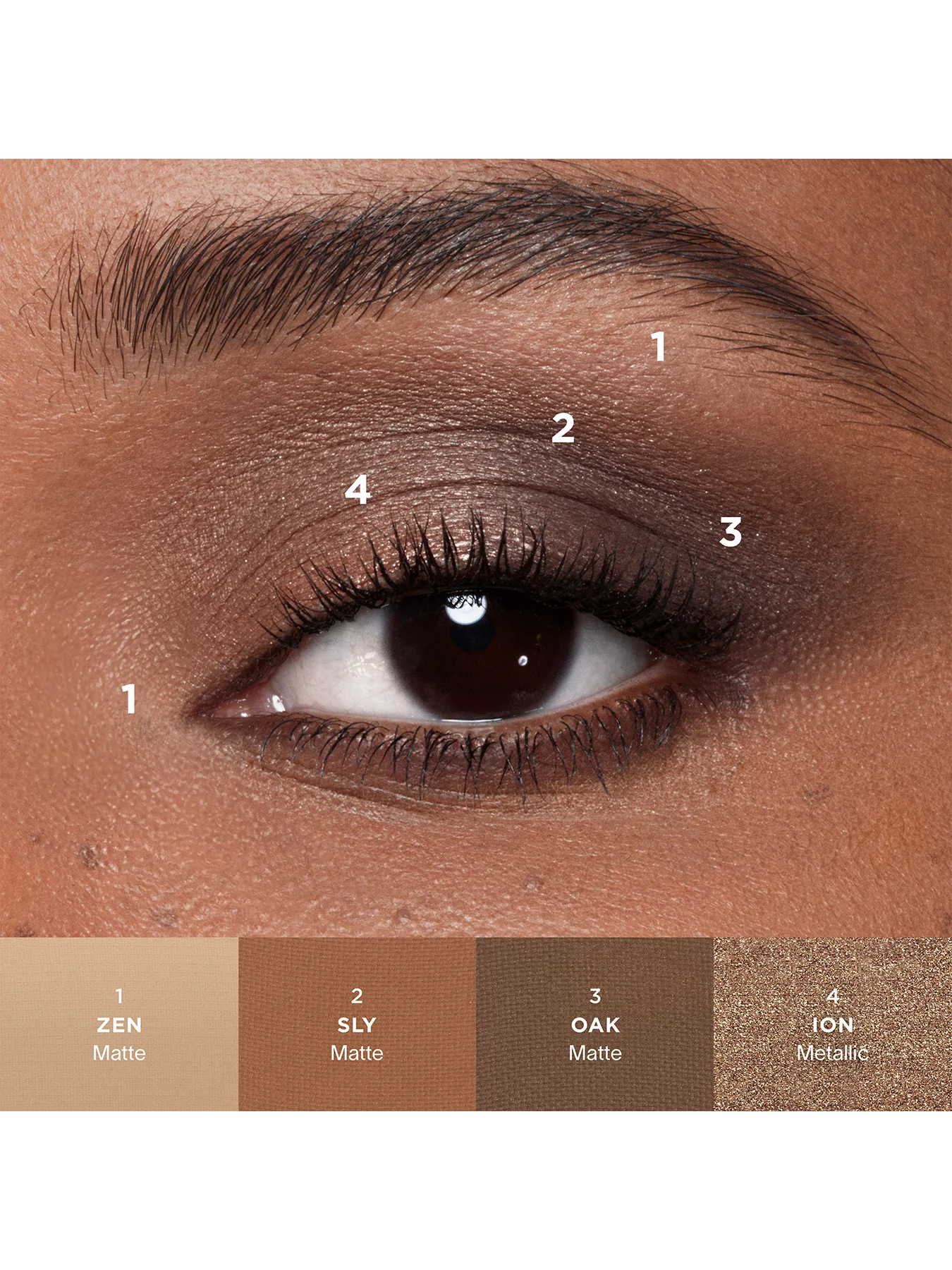 Curator Eyeshadow - Image 4