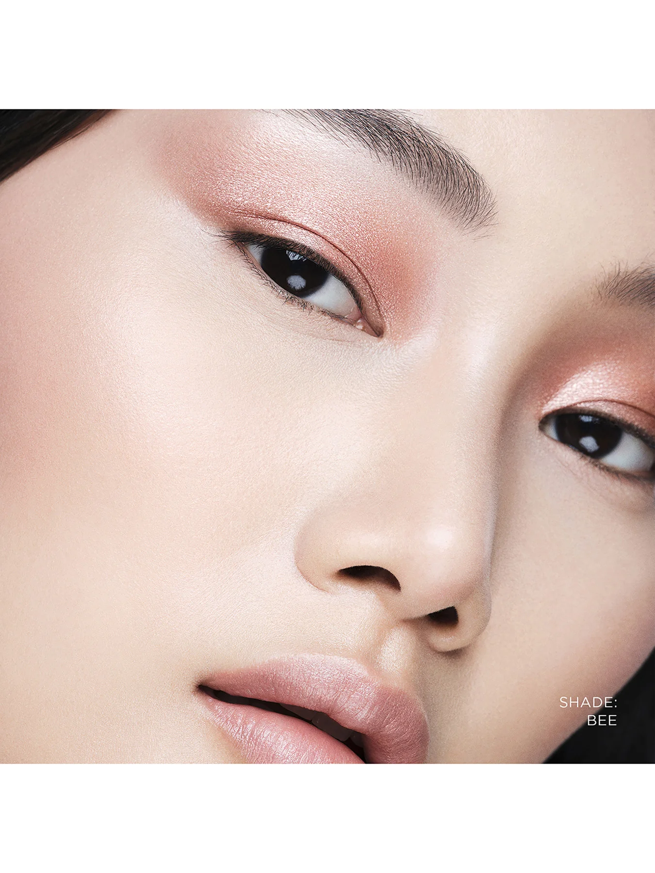 Curator Eyeshadow - Image 46