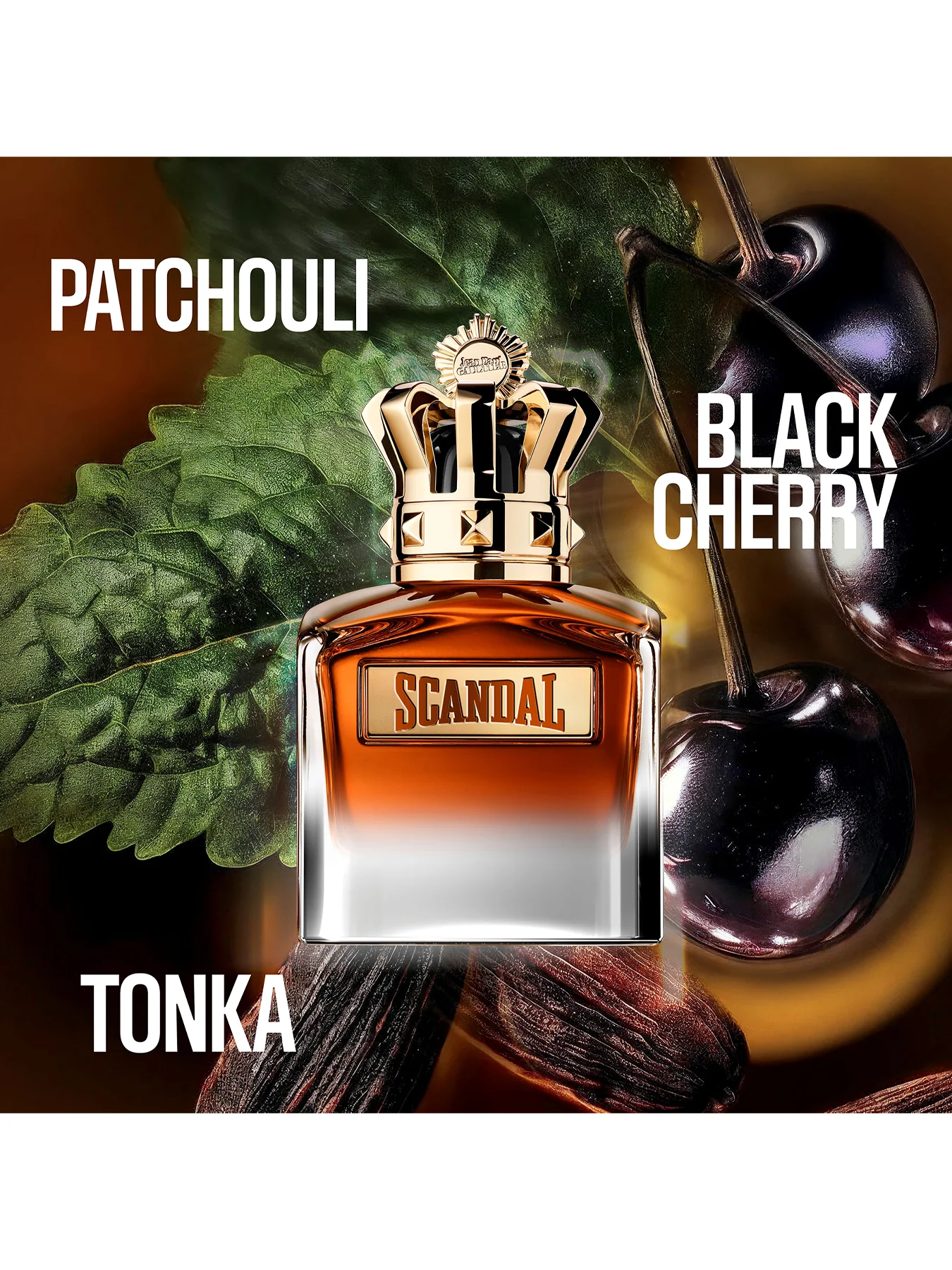 Scandal Elixir Parfum for Him 50ml - Image 2