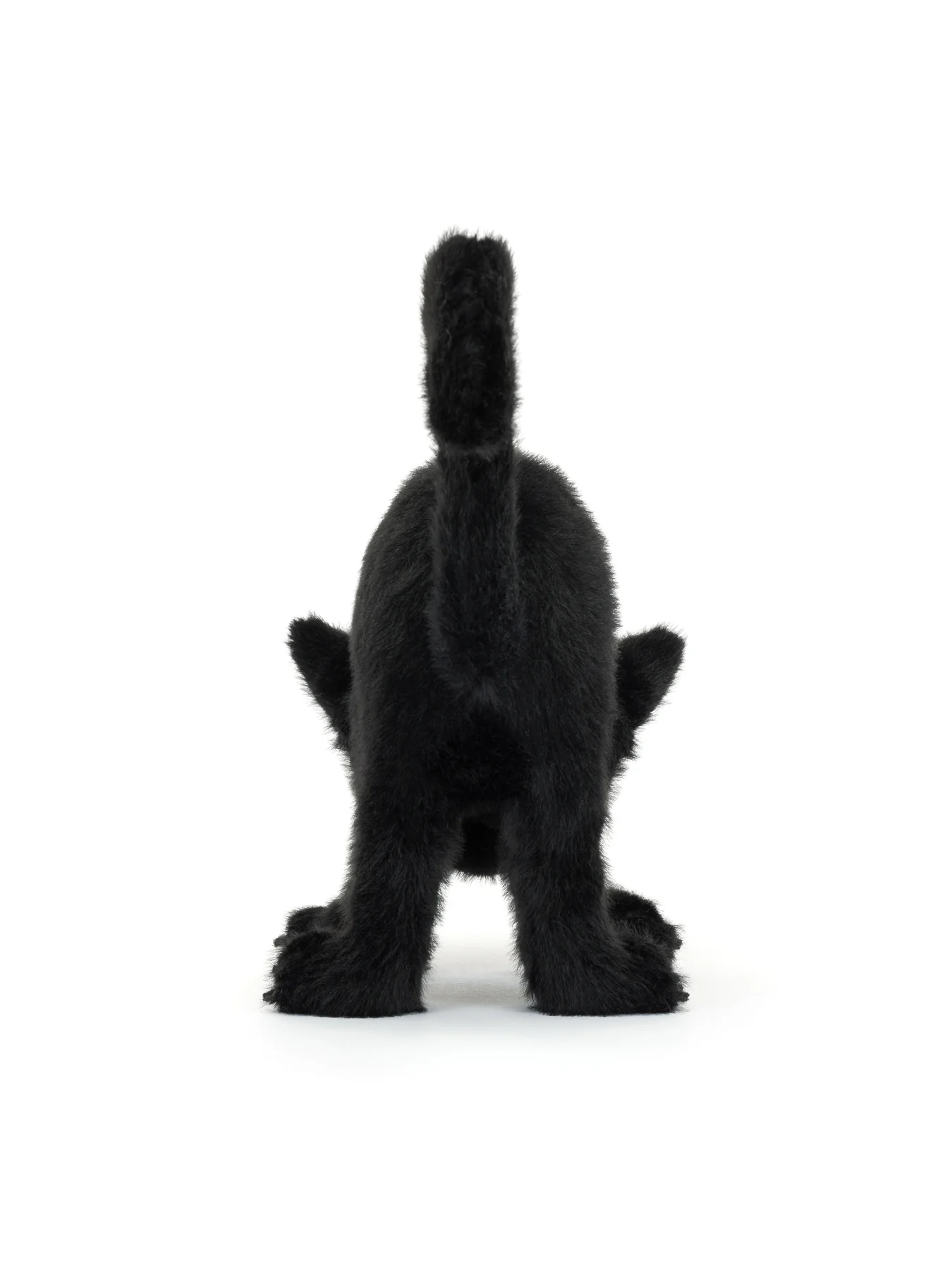 Spookipaws Cat - Image 2