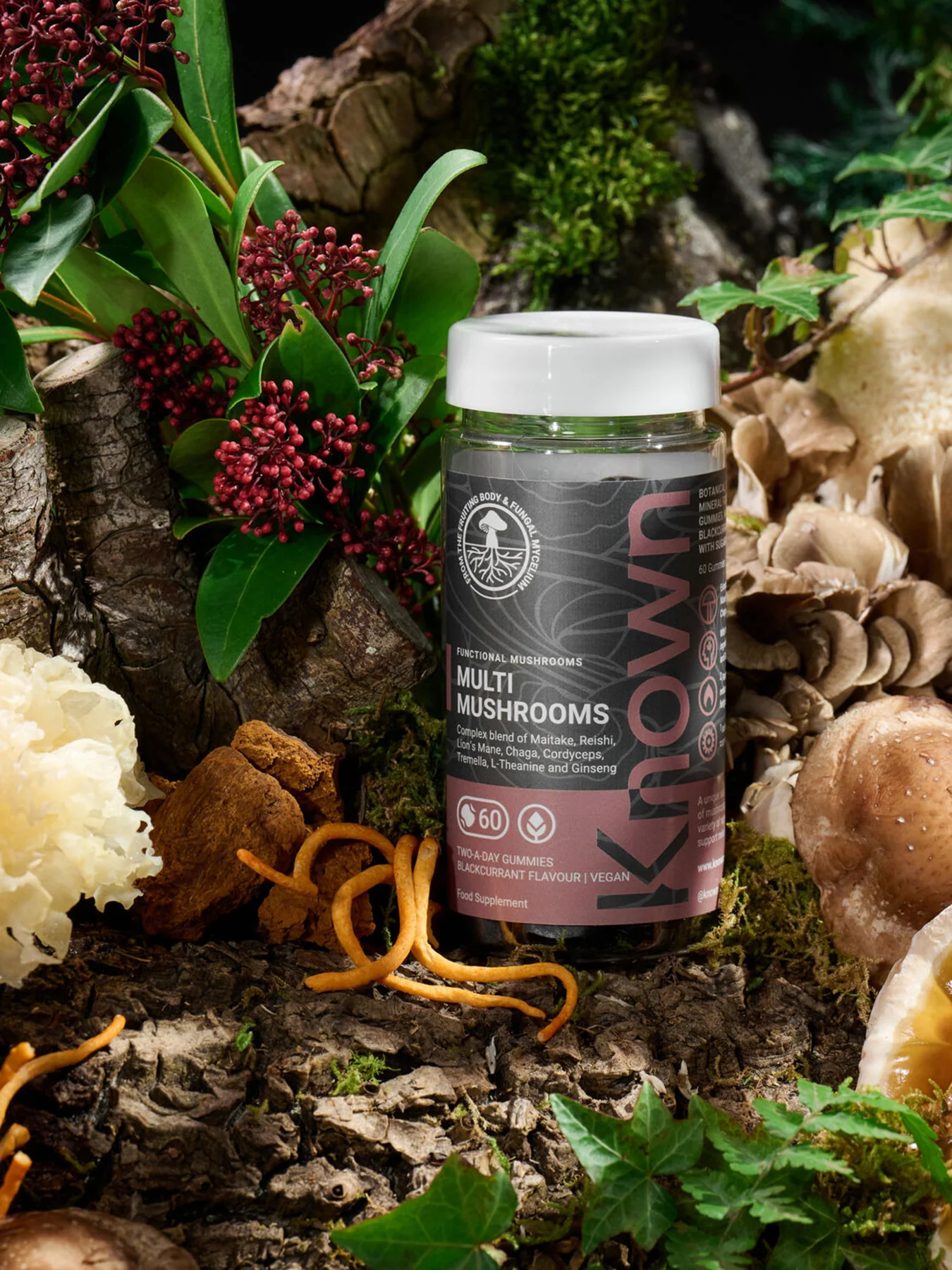 Mushroom Complex Vegan Gummies - Image 2