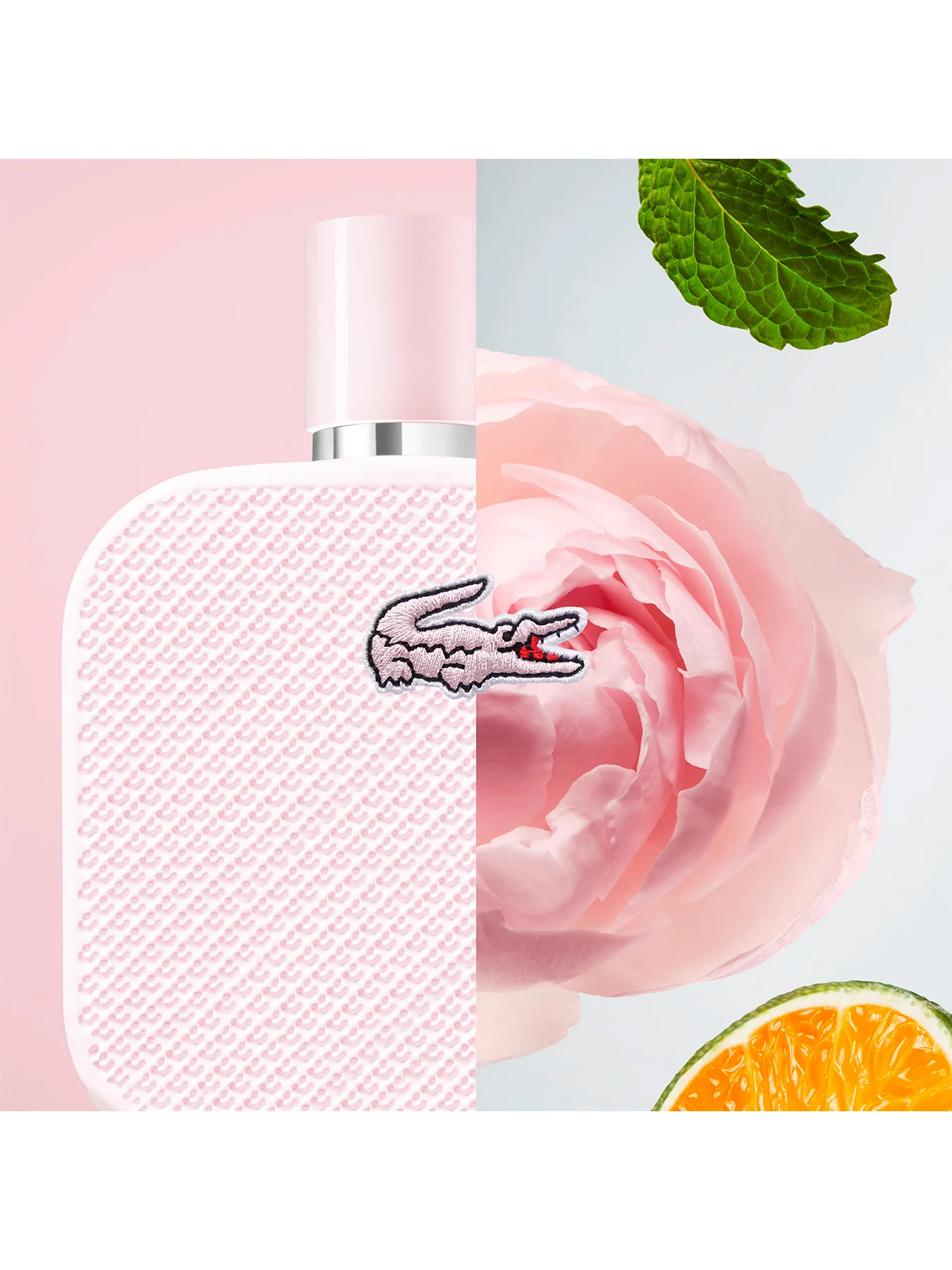 L.12.12 Rose Eau de Parfum 50ml - Image 3