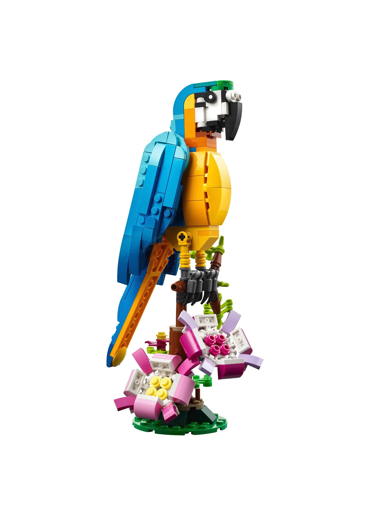 Exotic Parrot 31136 - Image 3