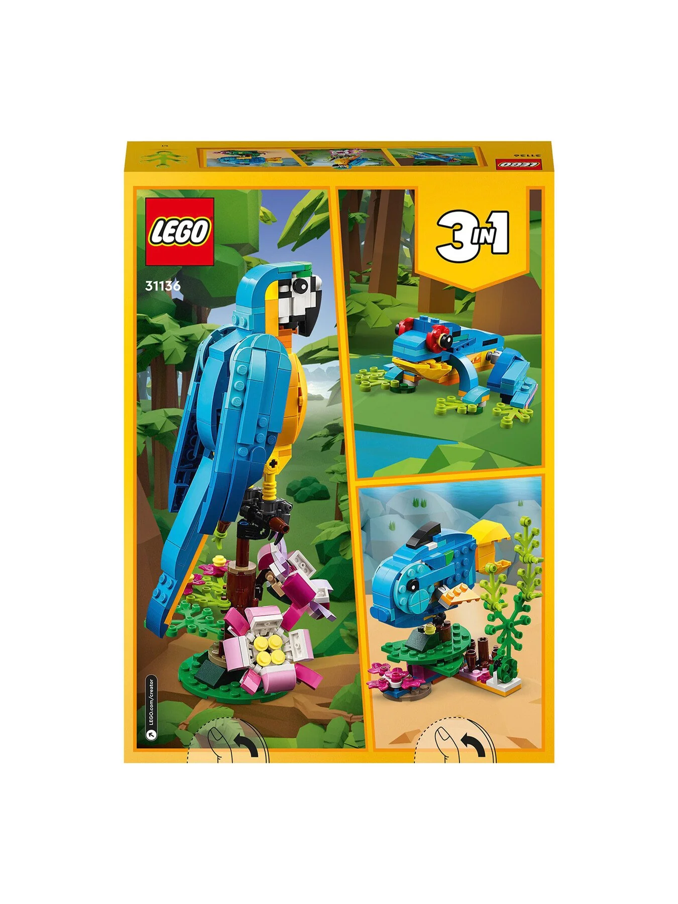 Exotic Parrot 31136 - Image 4