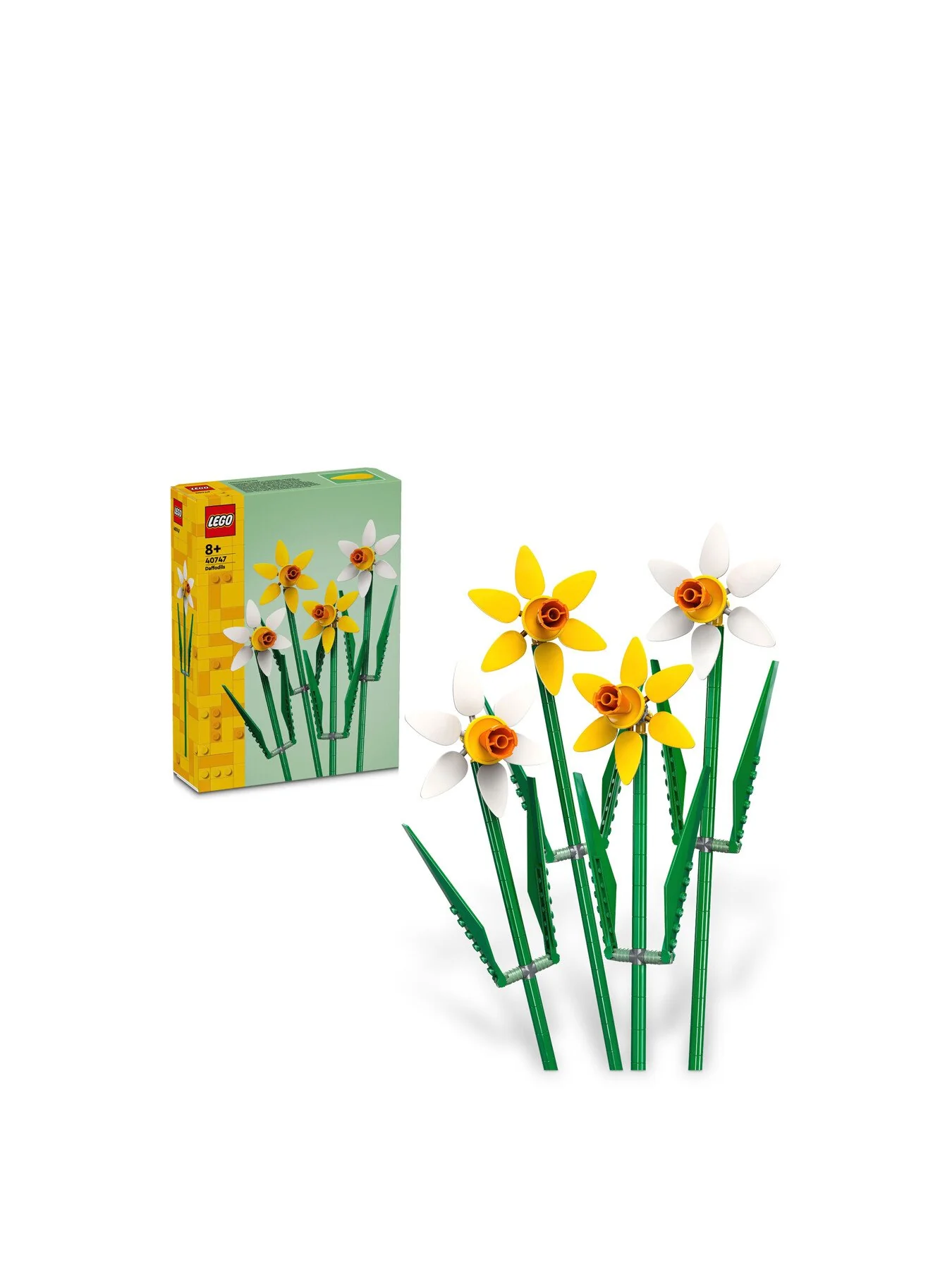 Daffodils 40747 - Image 2