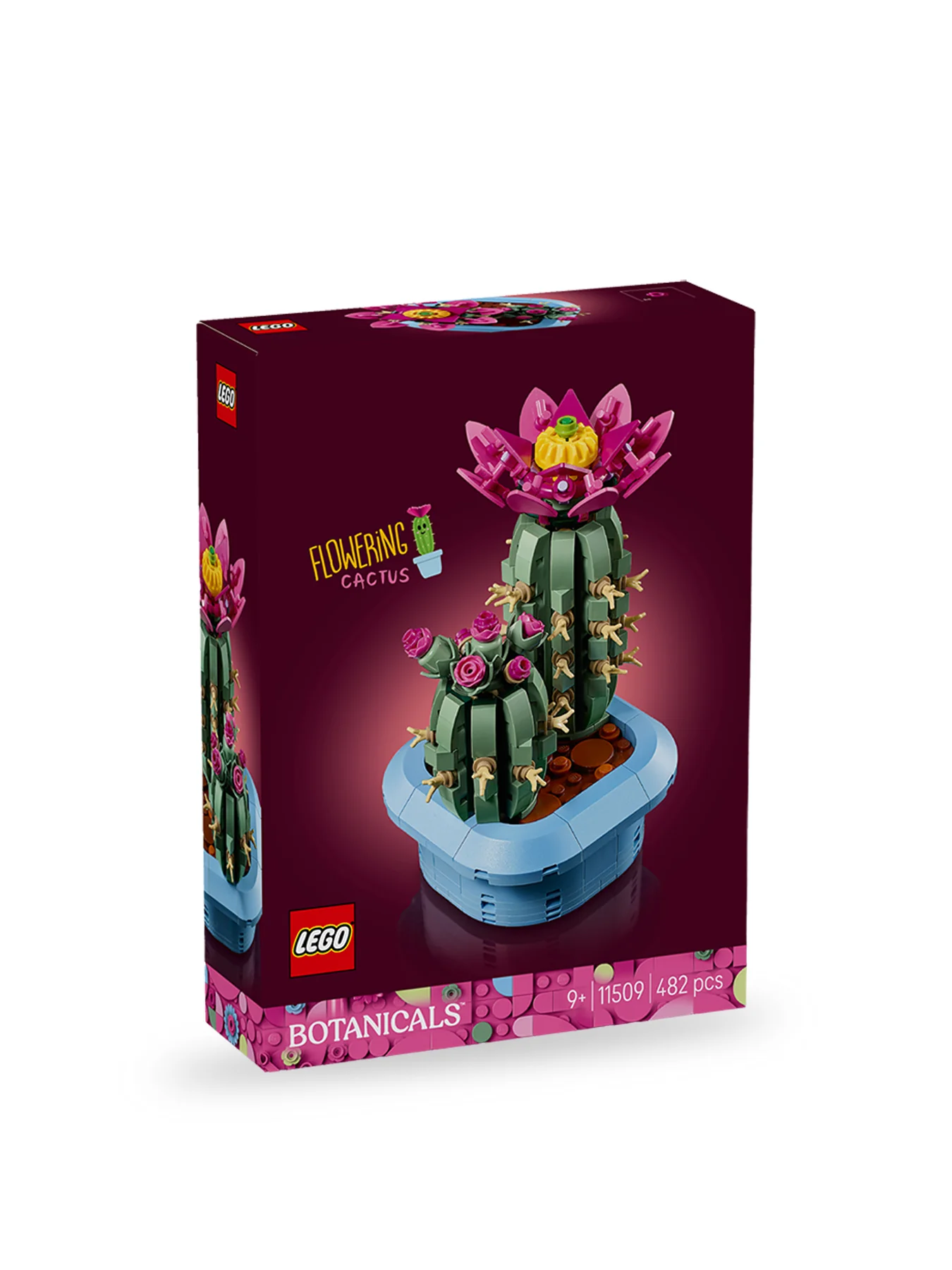 Botanical Flowering Cactus Set 11509