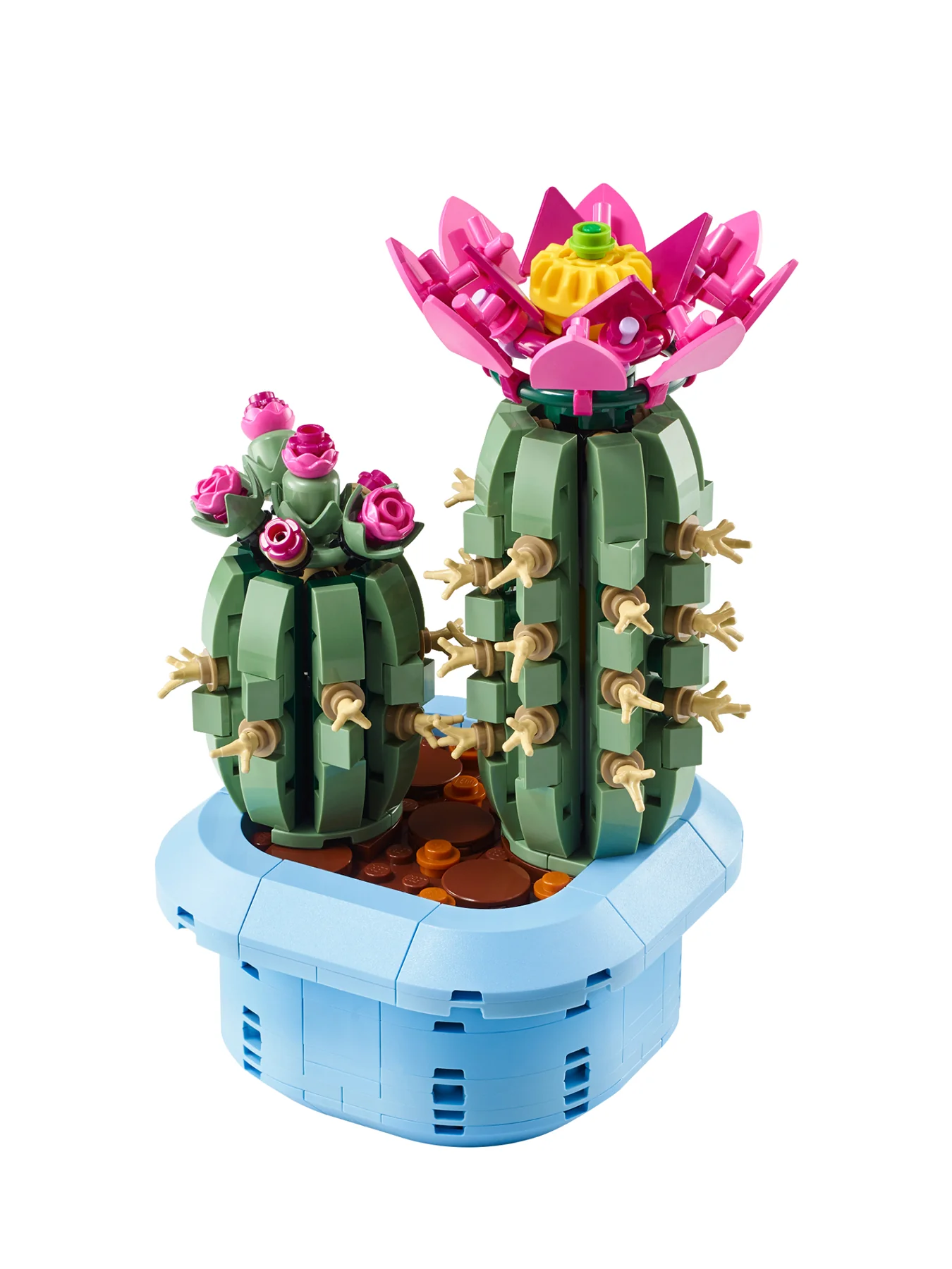 Botanical Flowering Cactus Set 11509 - Image 2