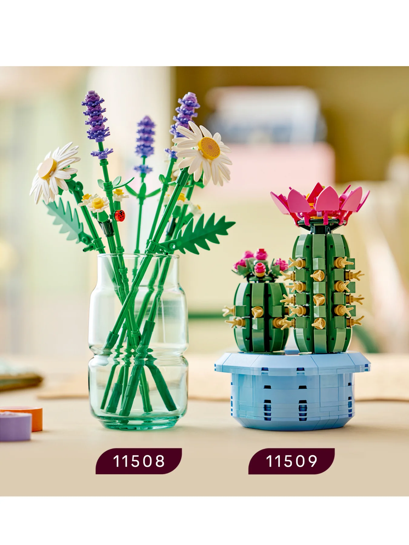 Botanical Flowering Cactus Set 11509 - Image 3