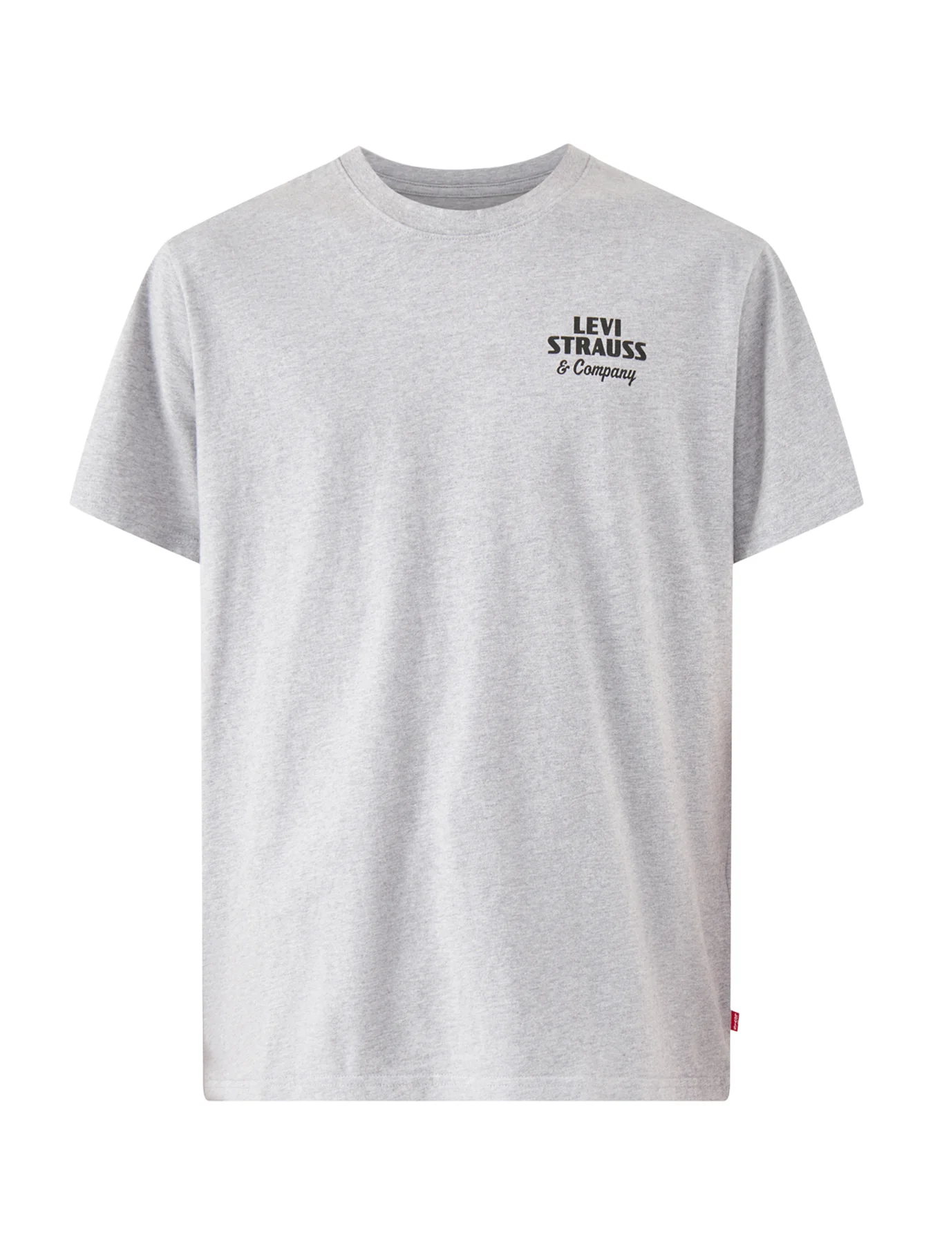 Relaxed Fit Graphic T-Shirt Grey