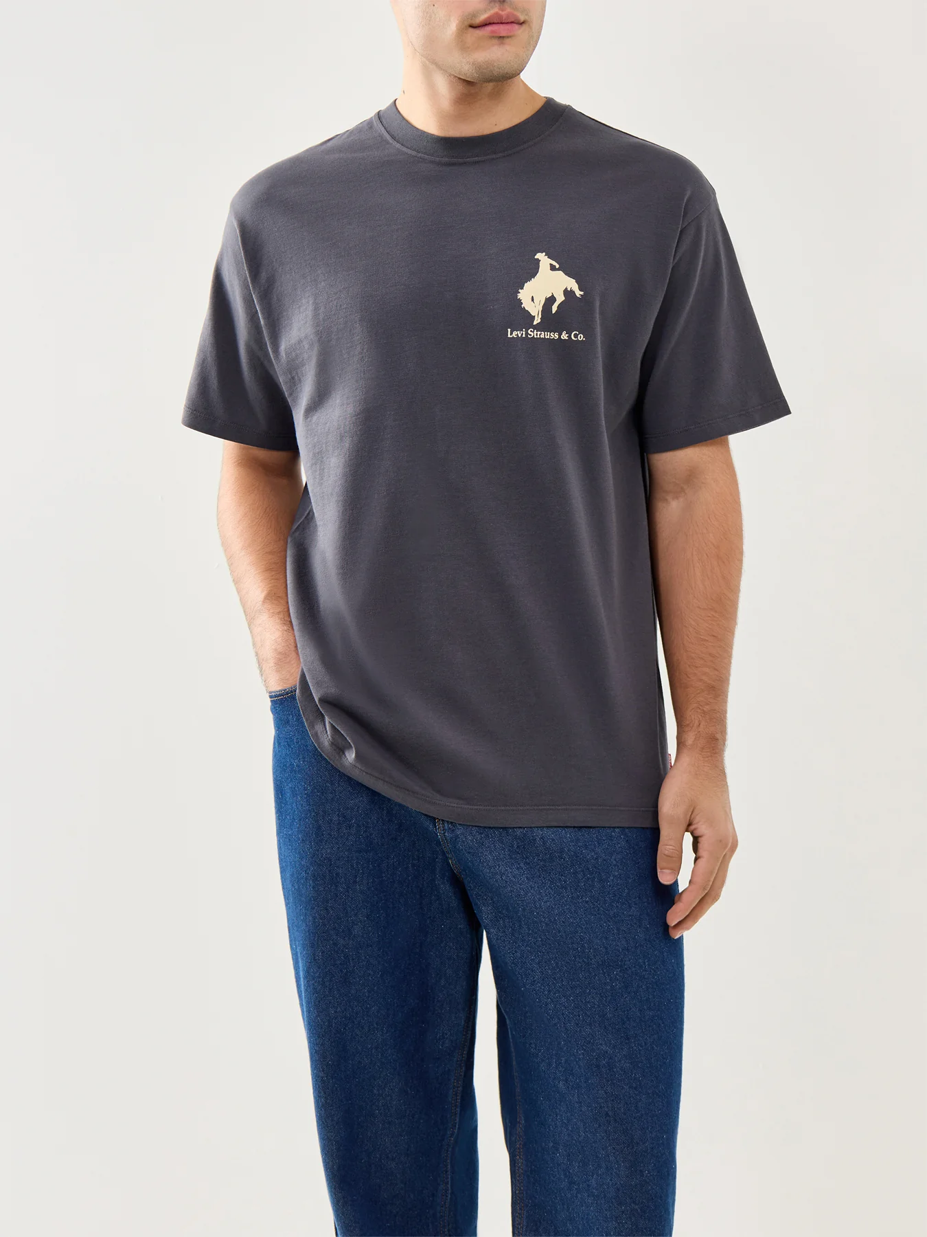 Vintage Fit Graphic T-Shirt Egret - Image 4