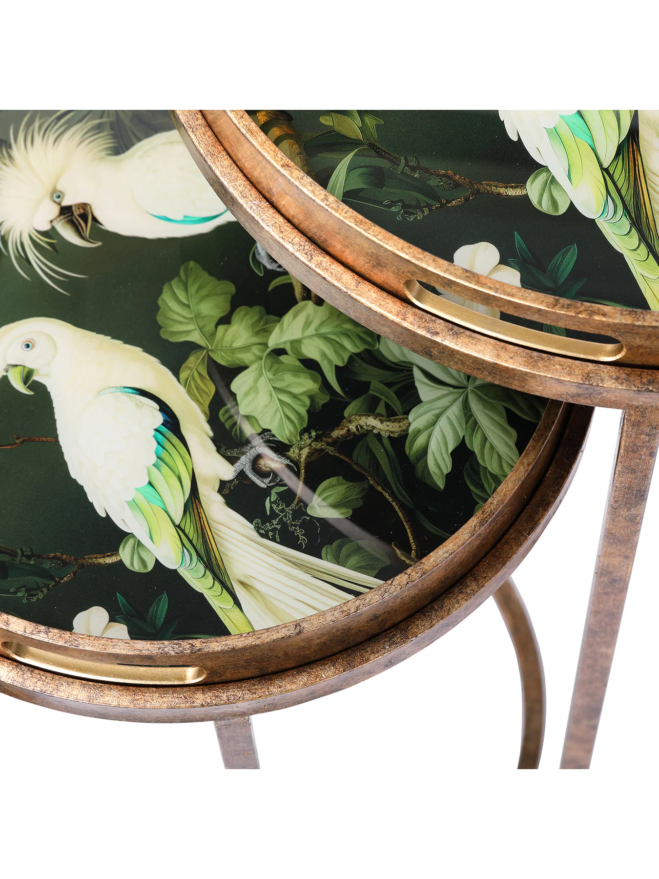 Tropical Birds Tray Tables Set of 2 Gold - Image 4