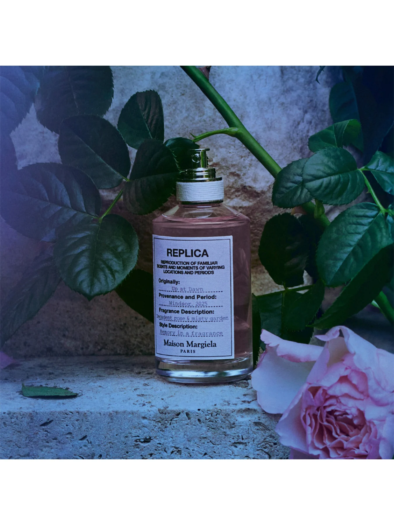 Replica Up At Dawn Eau de Toilette 100ml - Image 2