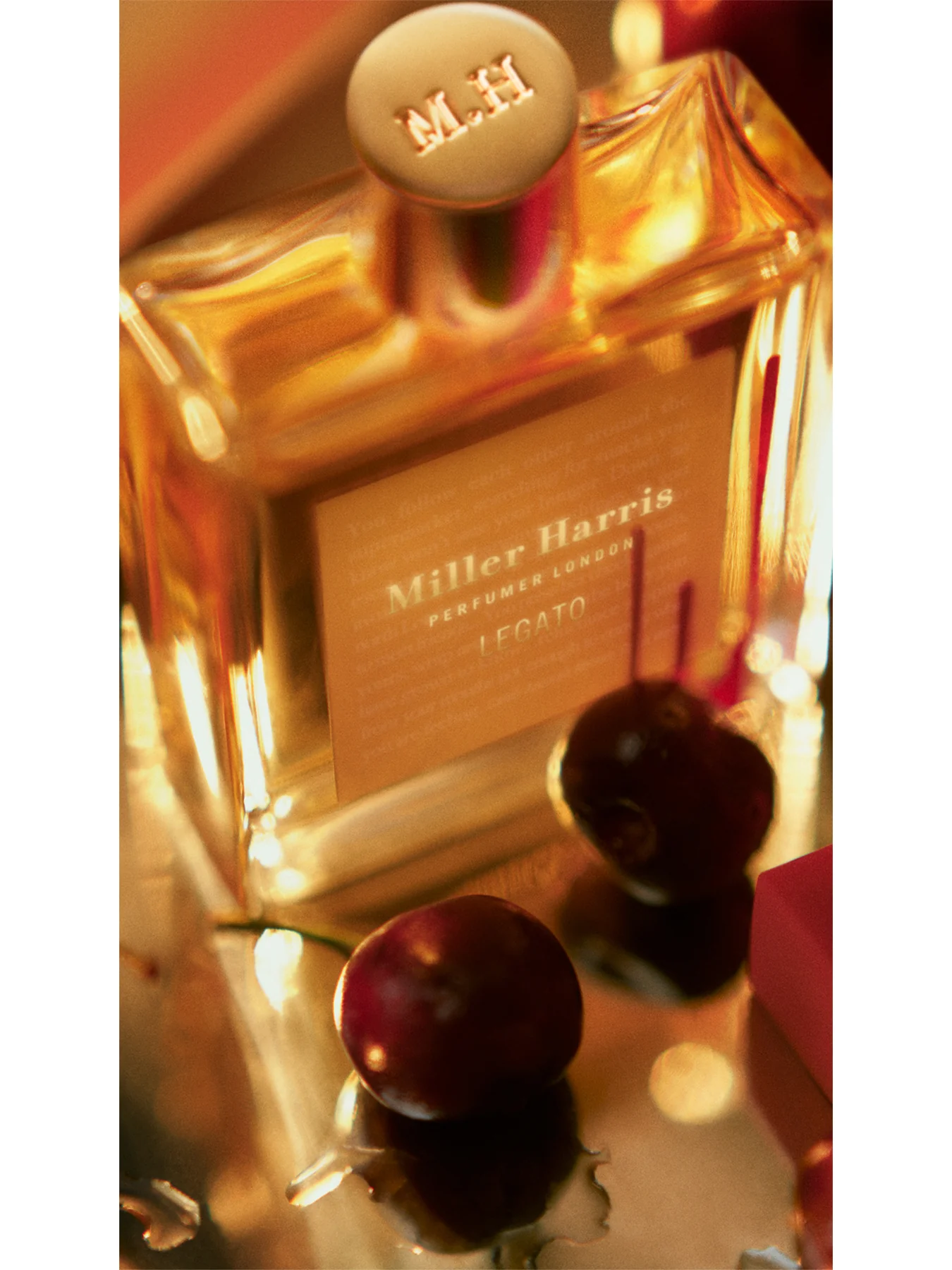 Legato Eau De Parfum  100ml - Image 3