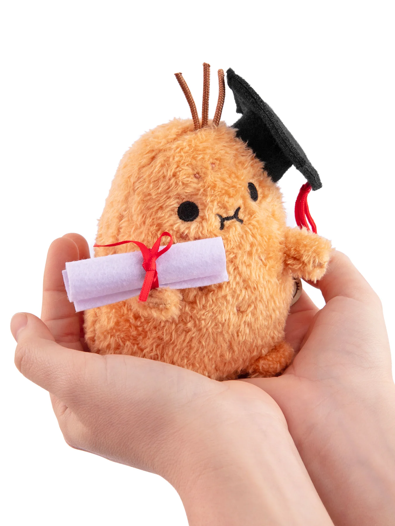 Ricespud Graduate Soft Toy - Image 3
