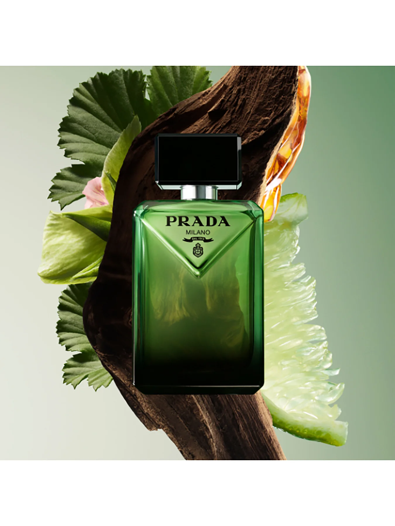 Paradigme Eau de Parfum 50ml - Image 3