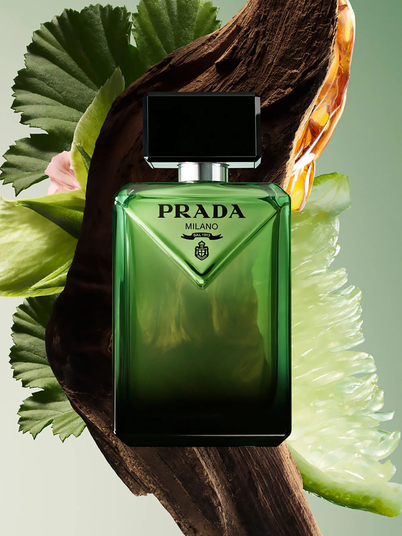 Paradigme Eau de Parfum 50 ml Set - Image 2