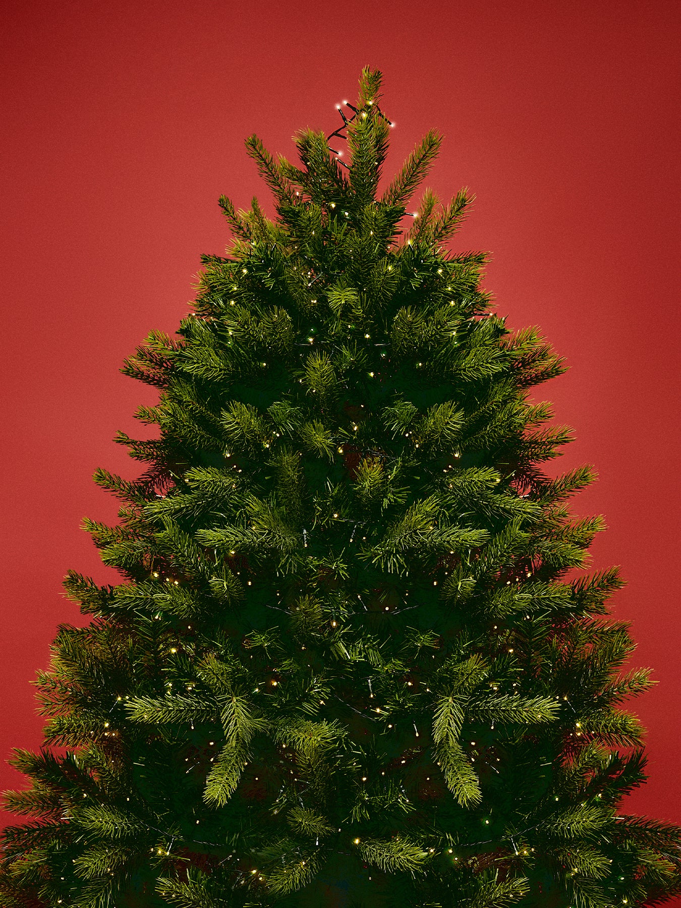 Surrey Fir Pvc Christmas Tree 7ft - Image 3