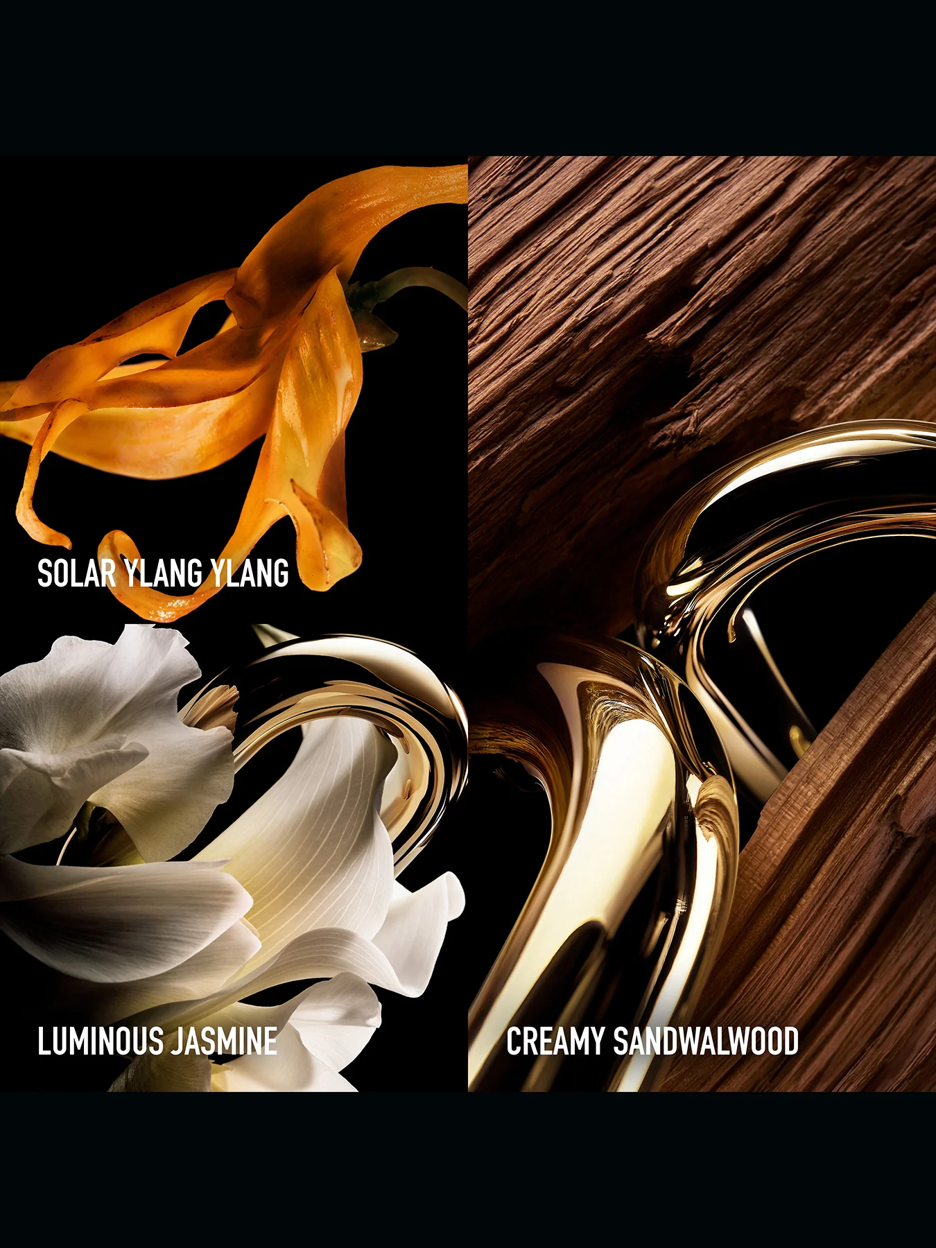 Gold Eau de Parfum - Image 3