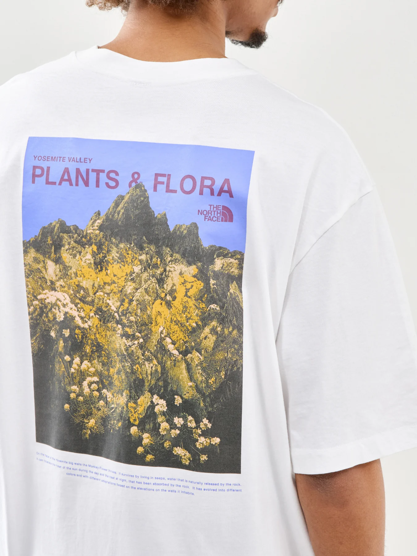 Oversized Graphic T-Shirt White - Image 2