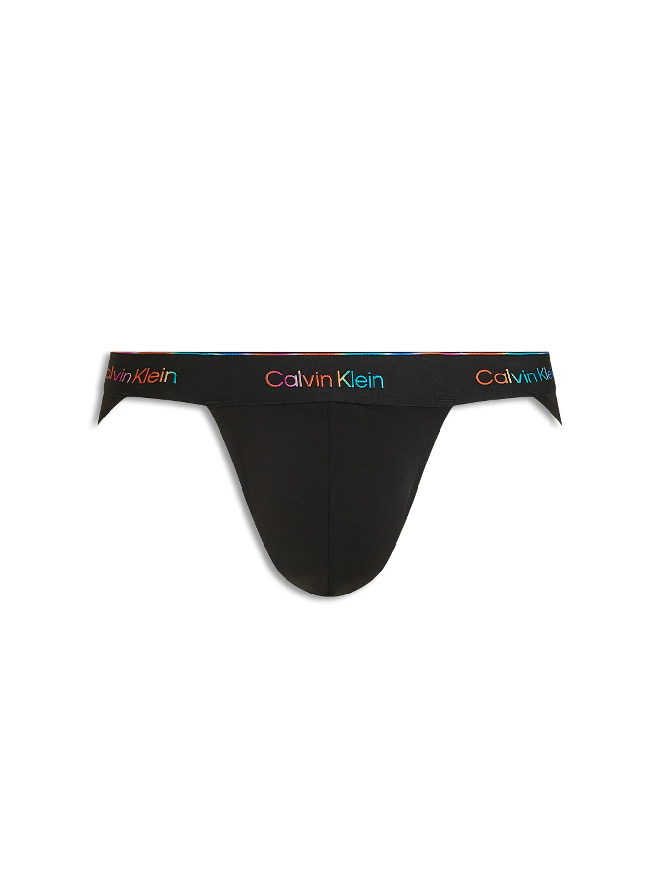 Micro Stretch Pride Briefs Multi