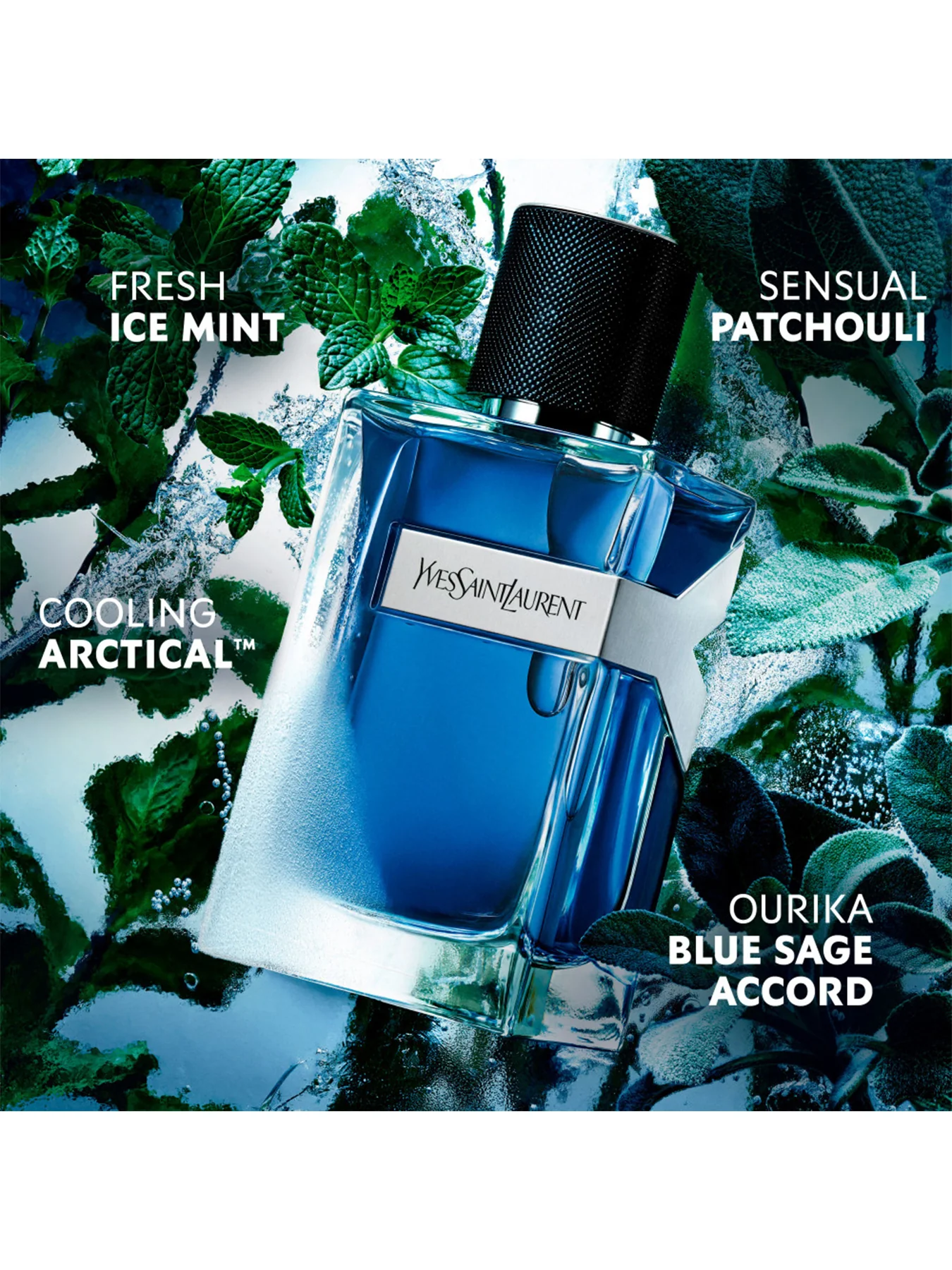 Y Iced Cologne Eau de Toilette 100ml - Image 4